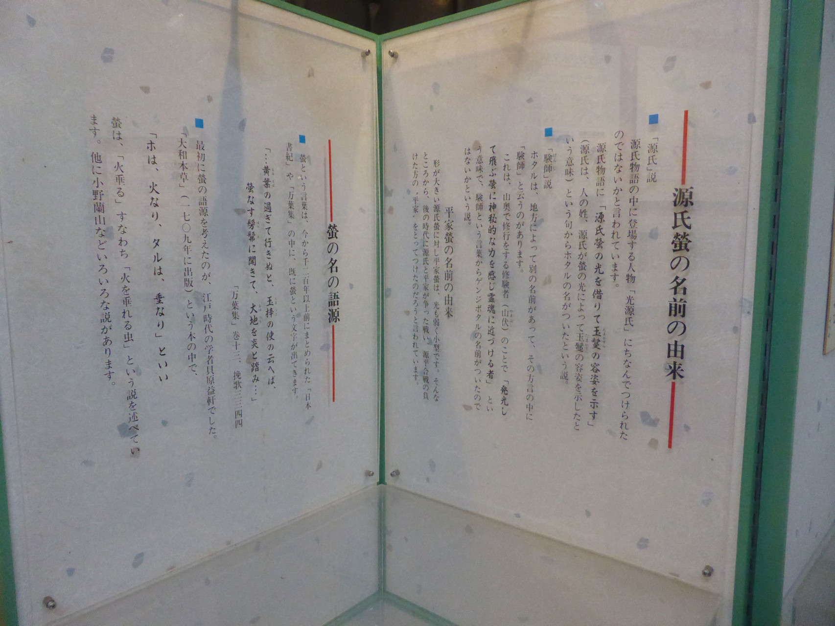 ゲンジボタル鑑賞 紀の川市貴志川町きしべの里公園 ほたる鑑賞池 にて なかむらさんの熊野古道 紀伊路 山中渓駅 湯浅駅 の活動日記 Yamap ヤマップ