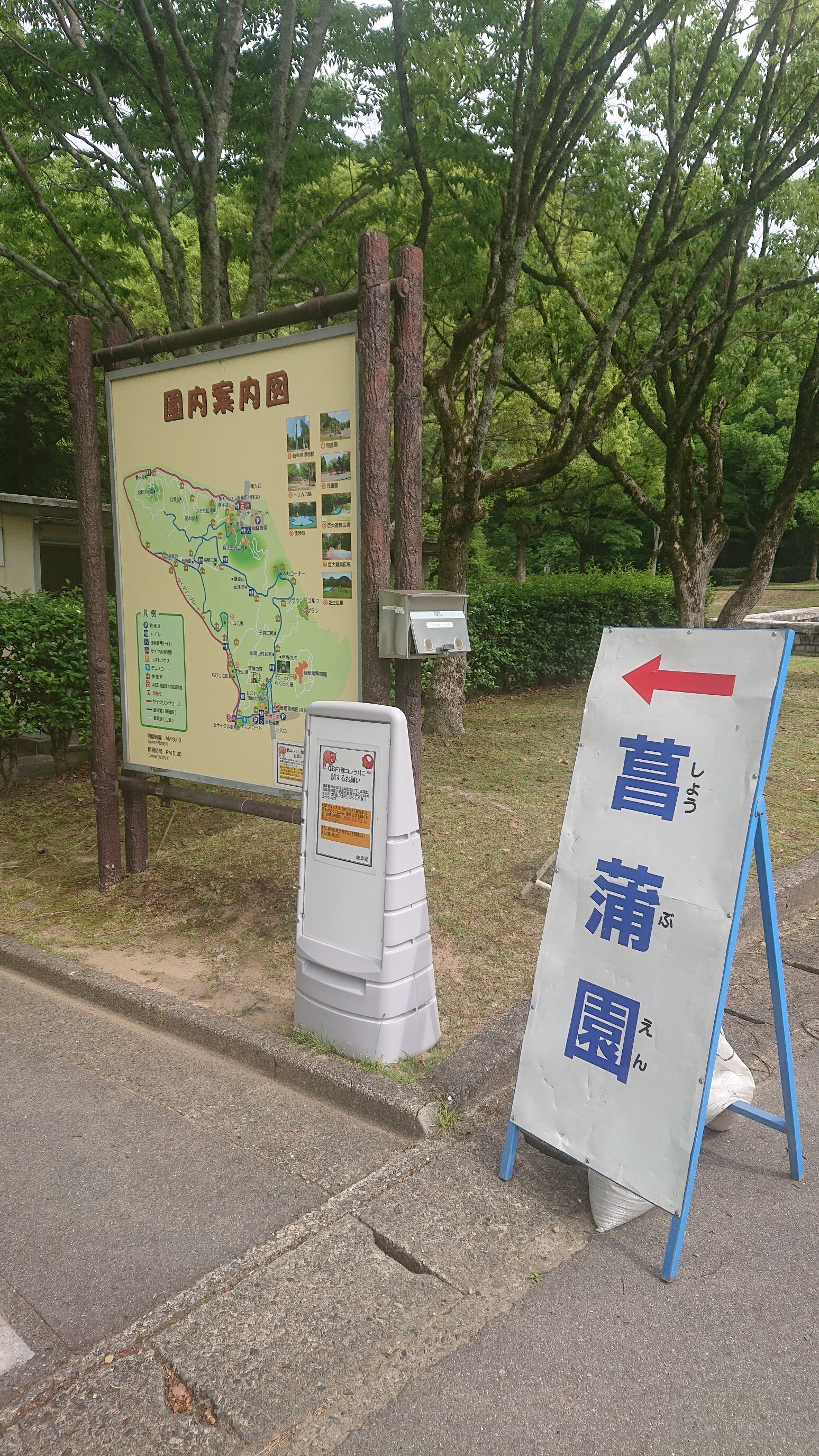 予定外に岐阜百年公園に行きました あいちけんちゃんさんの山王山 まるまる山 松尾山の活動データ Yamap ヤマップ