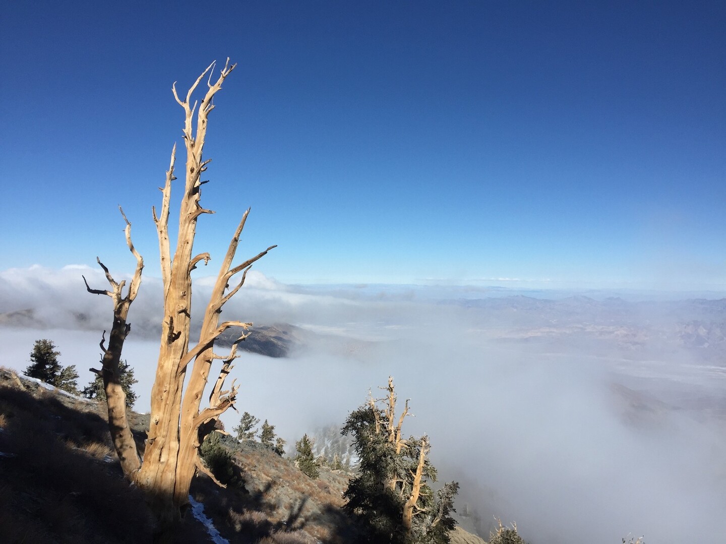 File 02 Telescope Peak Ca Usa Powさんのデスヴァレー国立公園 西エリアの活動日記 Yamap ヤマップ