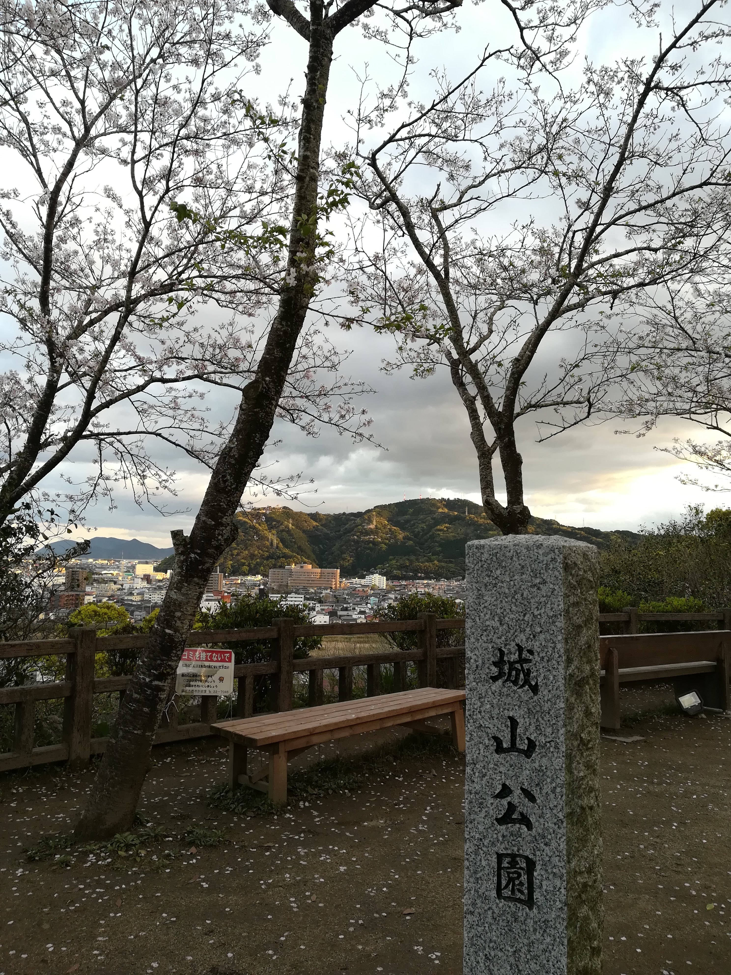 延岡城山桜 マカオンさんの愛宕山 延岡市 の活動データ Yamap ヤマップ