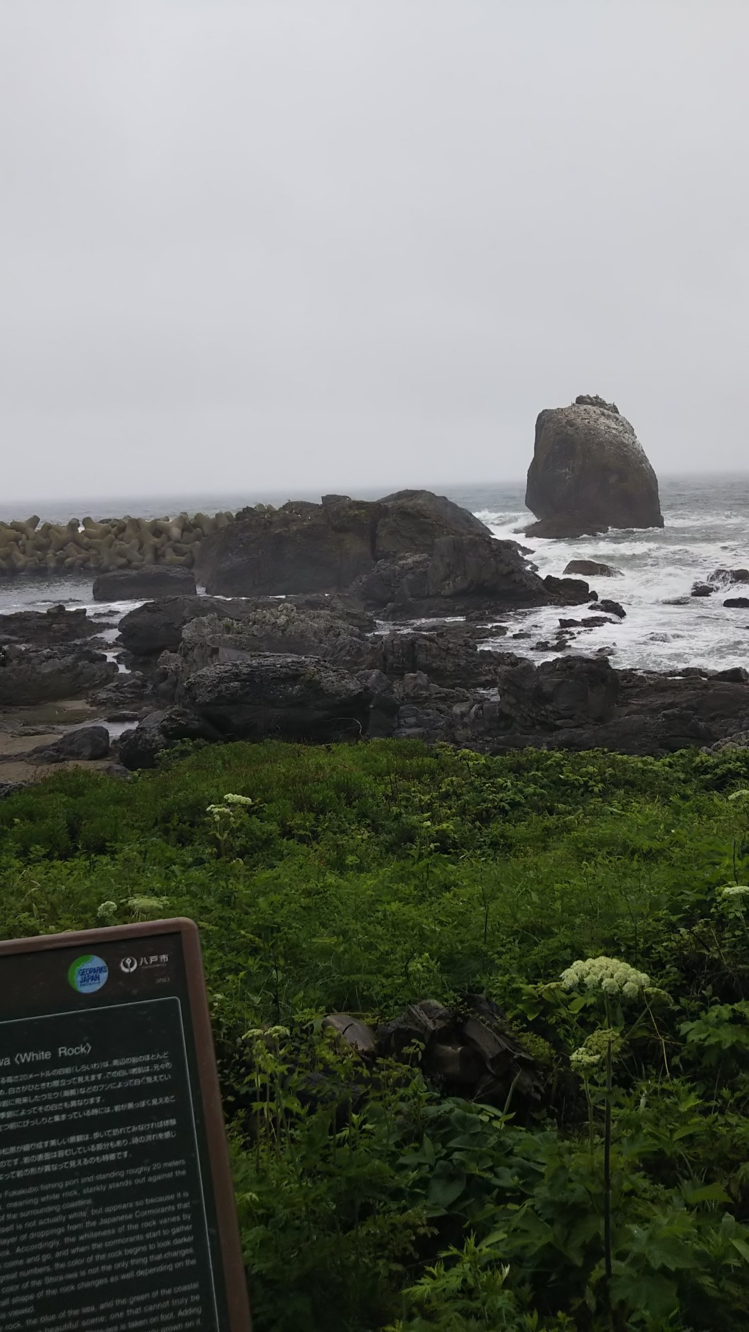 八戸 種差海岸から鮫駅まで歩く れおぽんさんのみちのく潮風トレイル 八戸市ルートの活動データ Yamap ヤマップ