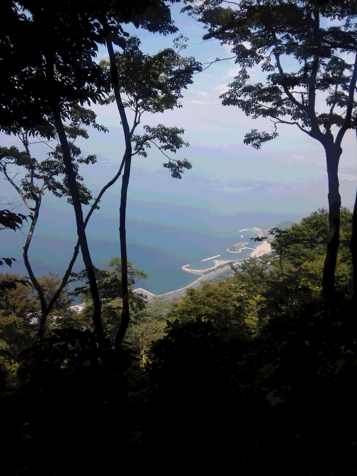 高崎山 南登山口より モネージュさんの高崎山の活動データ Yamap ヤマップ