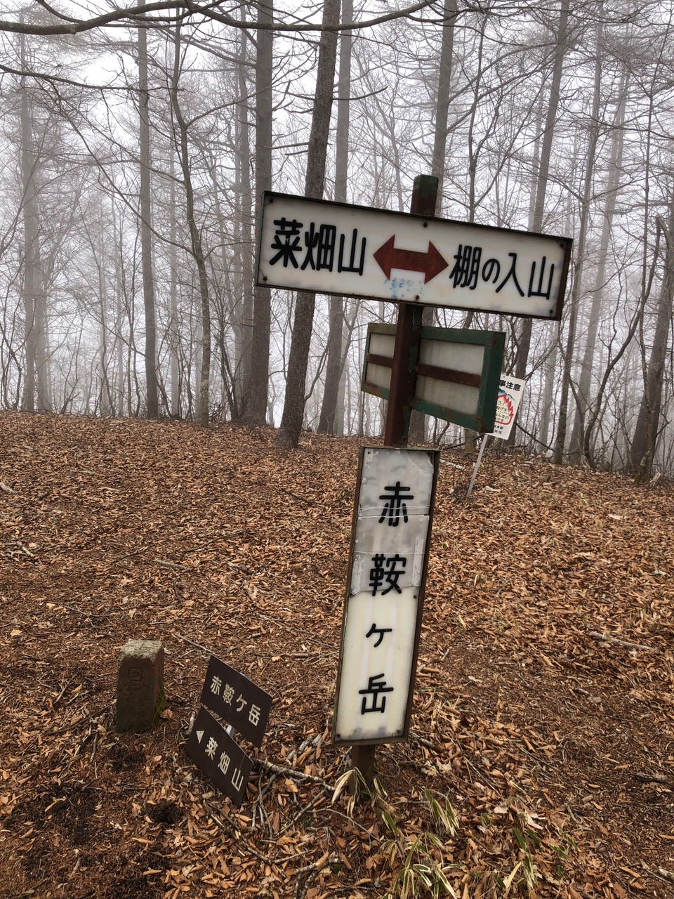 赤鞍ヶ岳 棚ノ入山 秋山二十六夜山 よしよっしーさんの倉岳山 高畑山 九鬼山の活動日記 Yamap ヤマップ