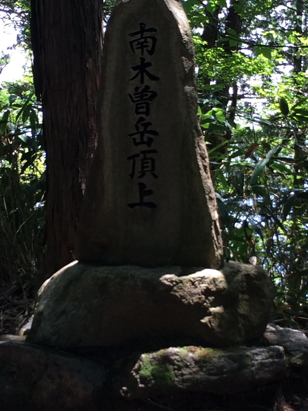 藪漕ぎはやはりやばい世界 ムッチさんの南木曽岳の活動データ Yamap ヤマップ