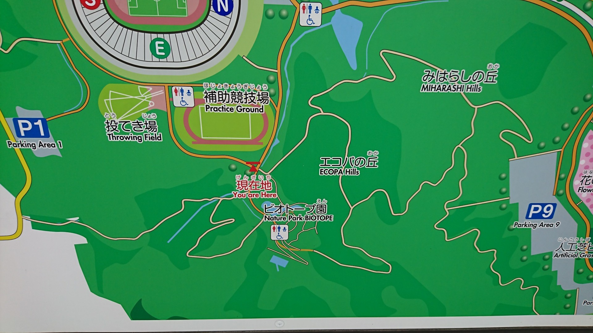 エコパ ウォーキングコースちょい歩き チュンタさんの小笠山の活動日記 Yamap ヤマップ