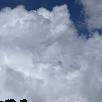 大きい夏の雲