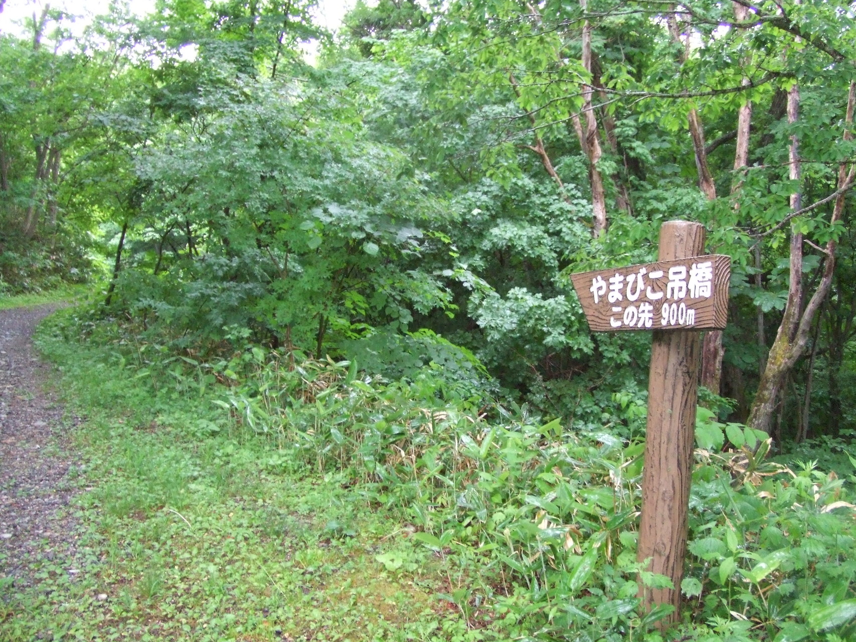 宮城県七ヶ宿町 やまびこ吊り橋 長老湖 ぽんすけぽんさんの蔵王山 雁戸山 不忘山の活動日記 Yamap ヤマップ