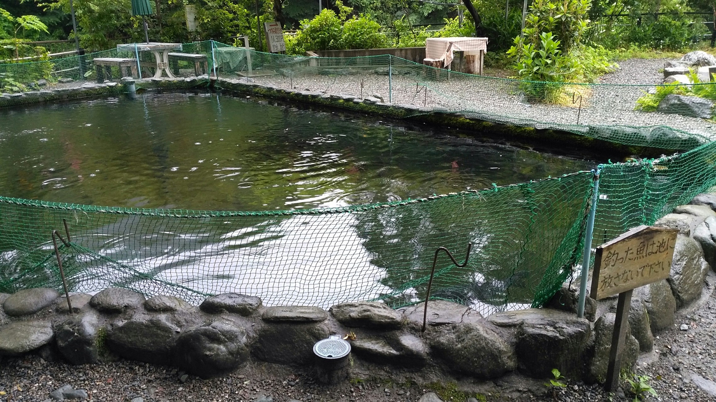 雨だし山レポじゃないやつ ヒゲメガネさんの御荷鉾山 オドケ山 桐ノ城山の活動日記 Yamap ヤマップ