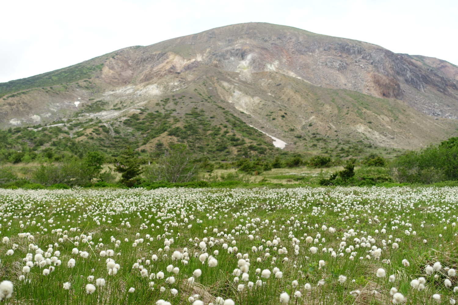 ワタスゲ山歩 彡 一切経山 しゅうさんの吾妻山 一切経山の活動データ Yamap ヤマップ