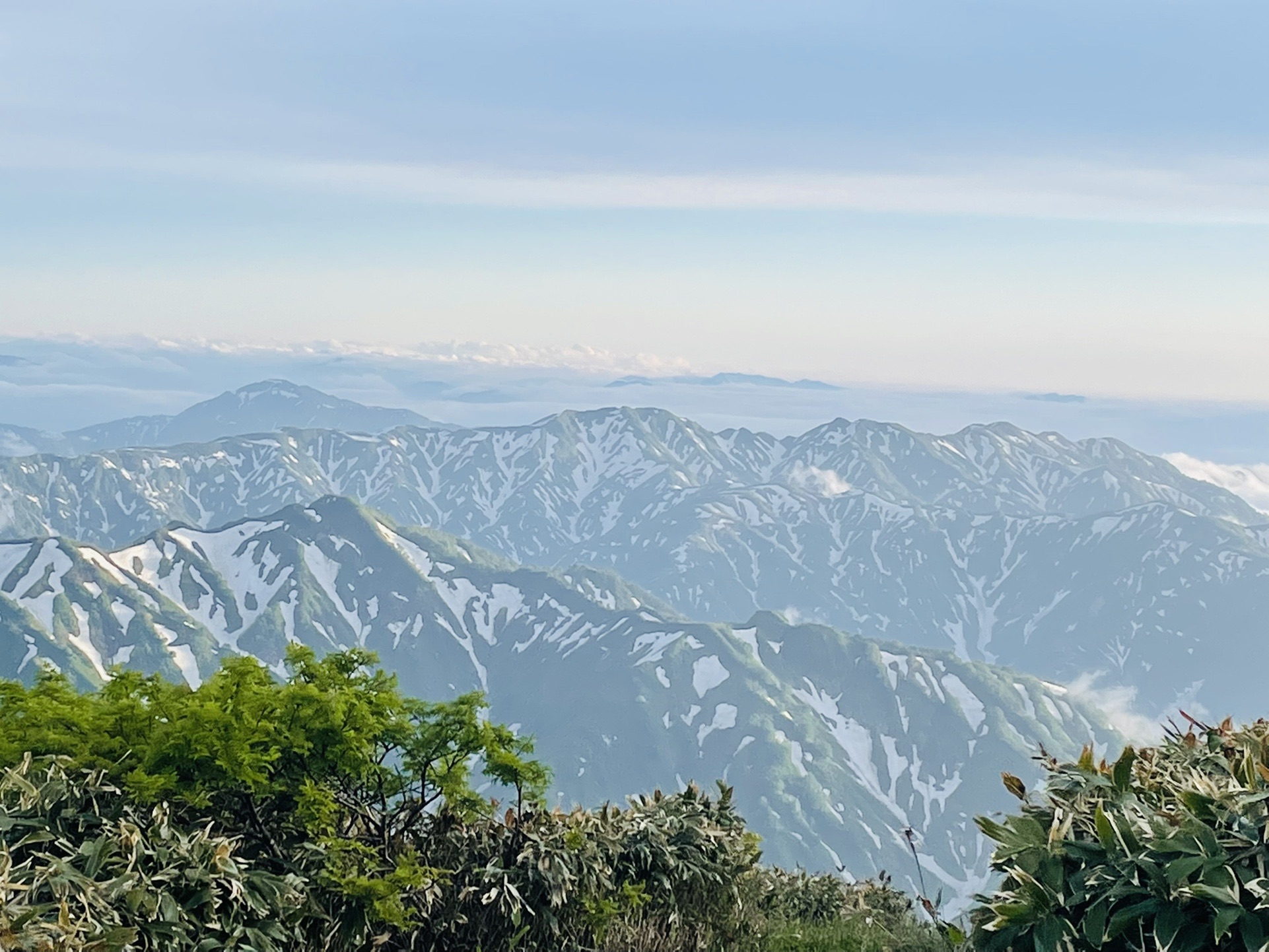 ひょっこり守門✨
形ですぐわかるようになった！
てことは、右にあるのは粟かな？