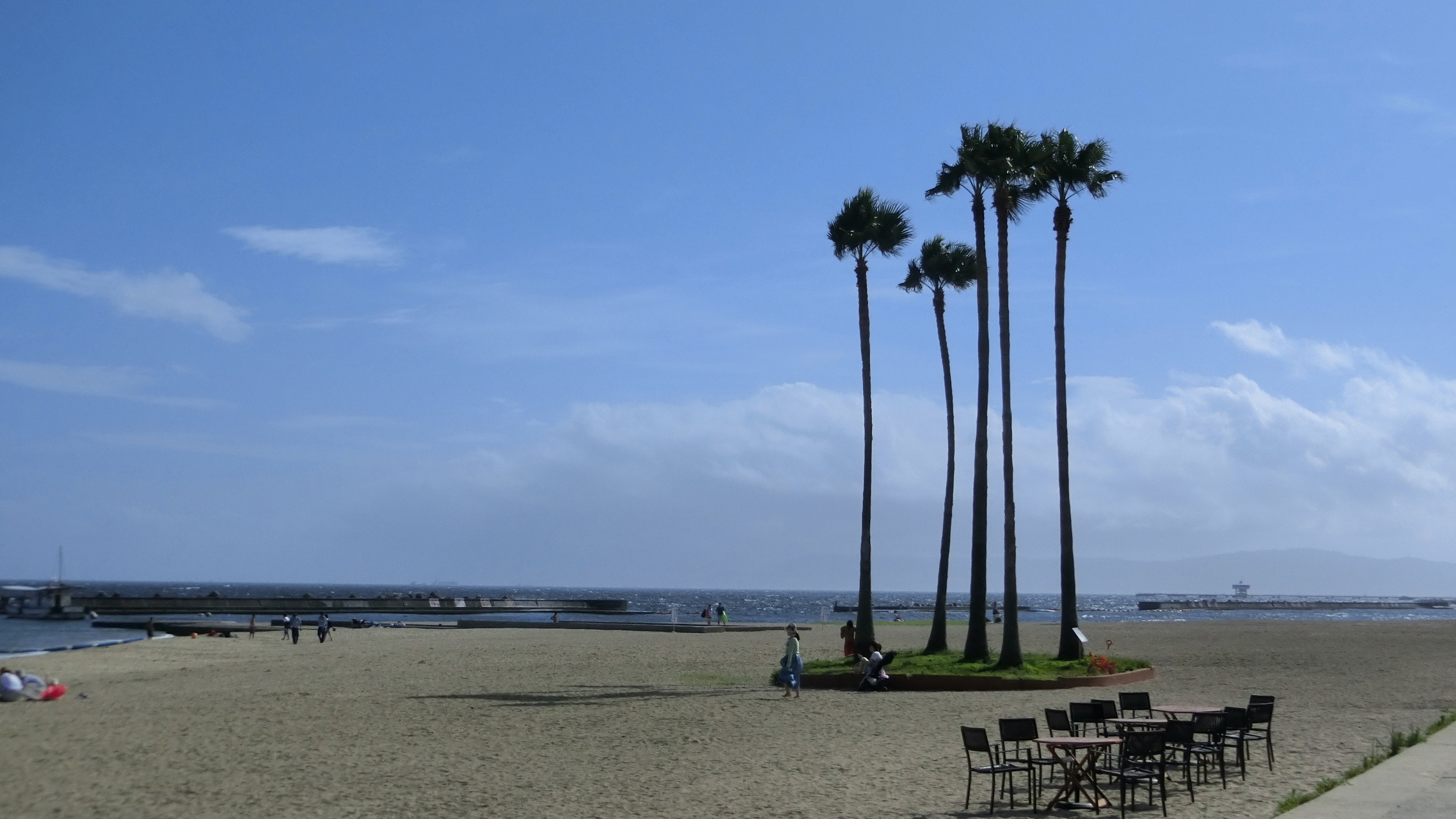 神戸須磨海浜水族園 須磨海岸海水浴場 くろちゃんさんの神戸市の活動データ Yamap ヤマップ