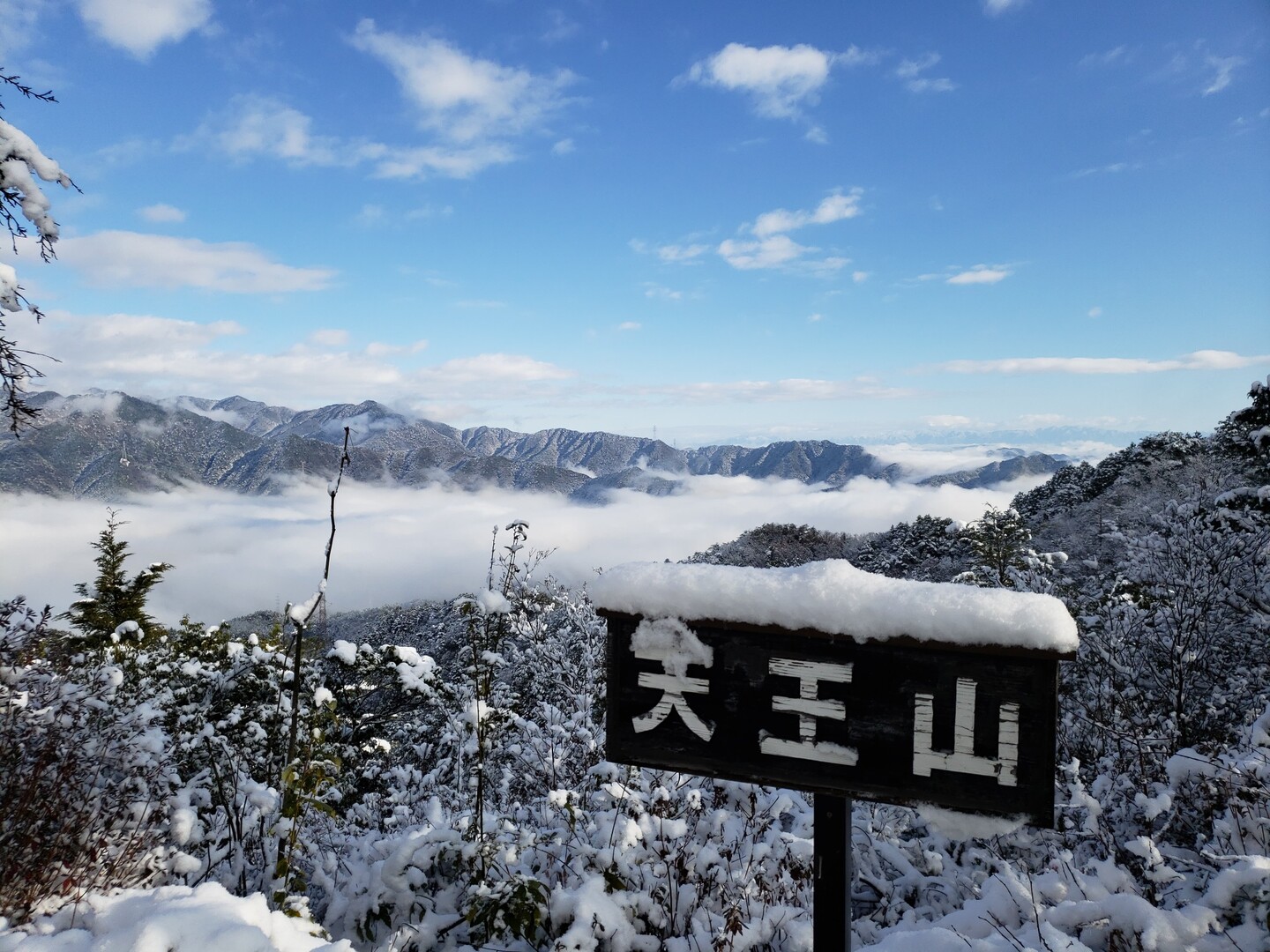 12回戦 雲海やばいぞ天王山 / かねやんさんの天王山・誕生山の活動データ | YAMAP / ヤマップ
