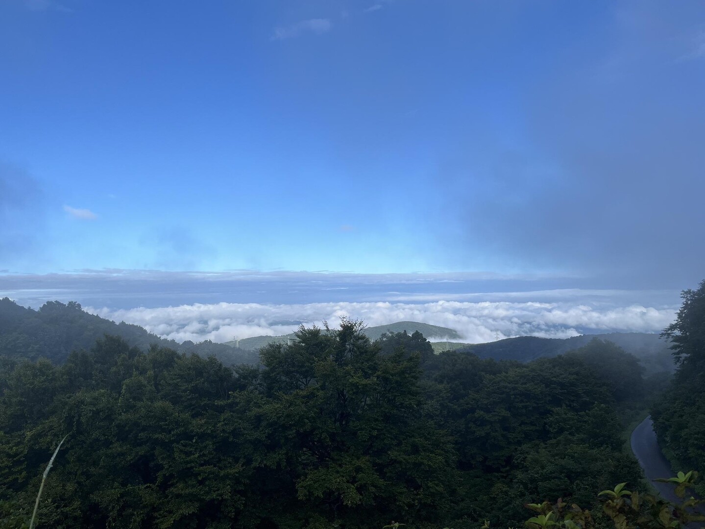 奥医王山（医王山）.2 / Jさんの医王山・白兀山・箱屋谷山の活動データ YAMAP / ヤマップ
