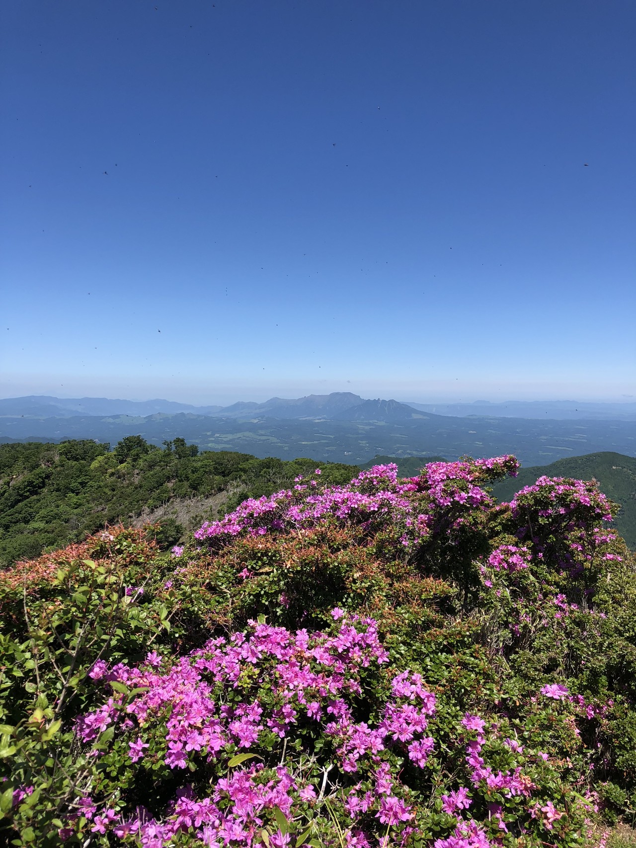 祖母山 親父岳登山口より さるさんの祖母山の活動データ Yamap ヤマップ