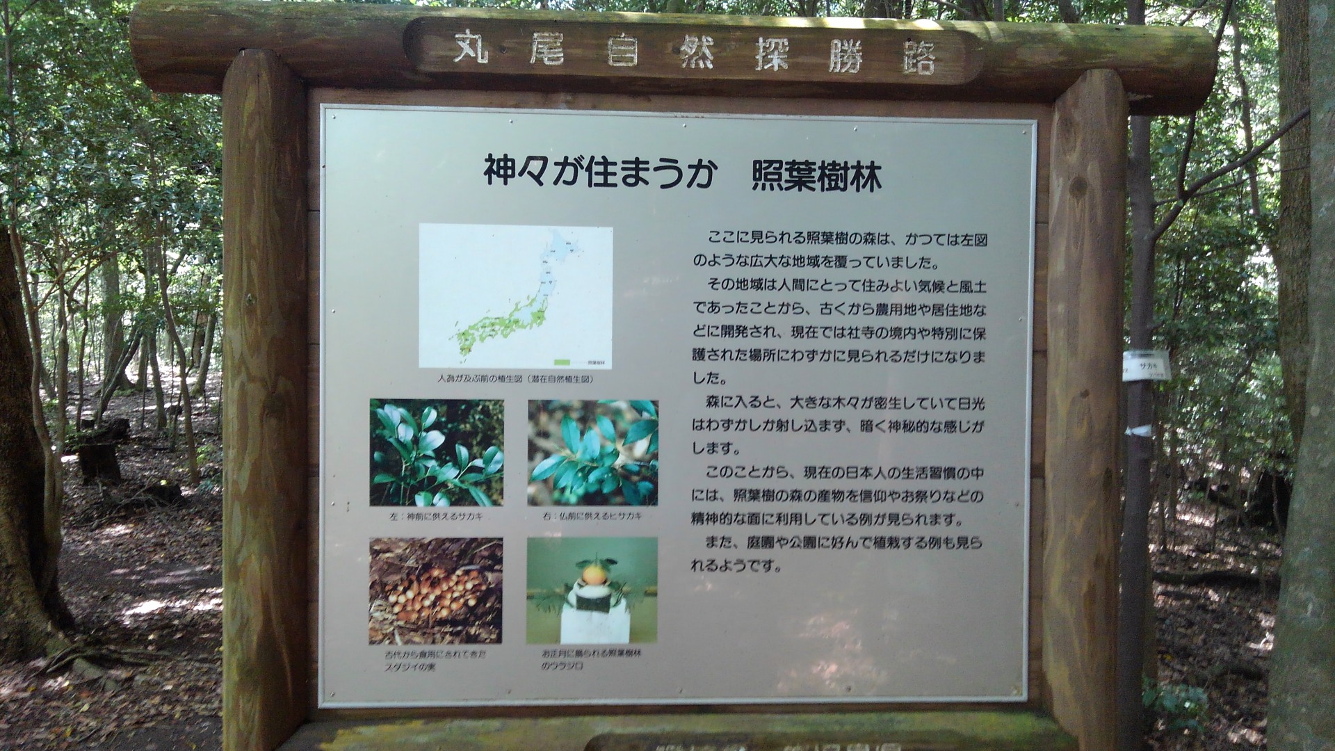 丸尾自然探勝路 丸尾滝 千畳敷 霧島最古の岩風呂 こばみさんの霧島山 韓国岳 高千穂峰 夷守岳 烏帽子岳の活動日記 Yamap ヤマップ