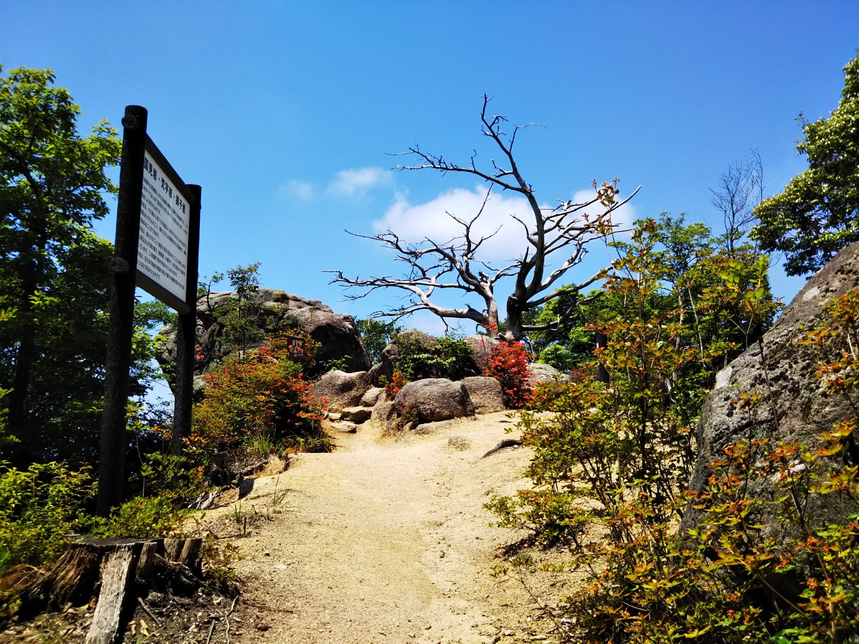 福岡県田川郡添田町 赤村 岩石山へ行ってきました バイクおやじさんの岩石山 岩石城 の活動データ Yamap ヤマップ