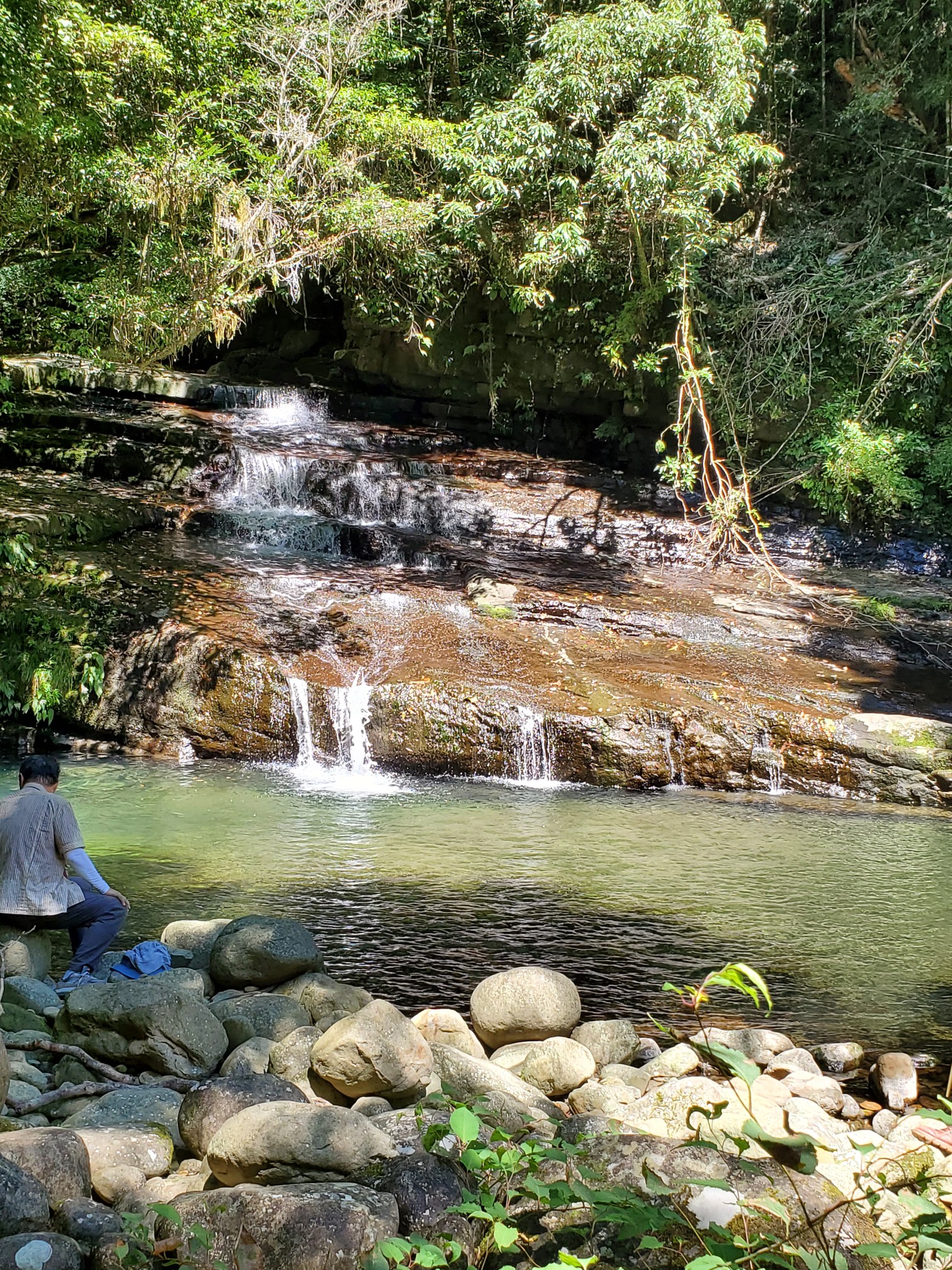 涼をもとめて猪八重渓谷へ みこさんの双石山 花切山 岩壺山の活動データ Yamap ヤマップ