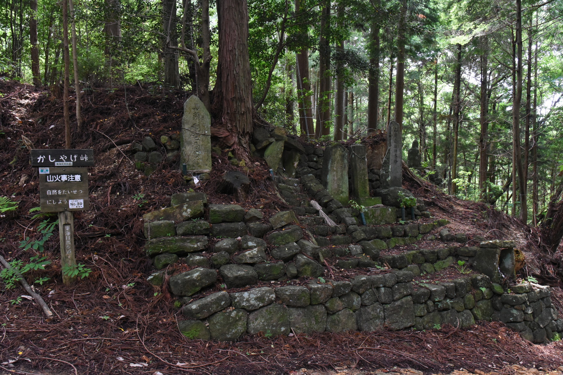 宇連山・鳳来寺山・岩古谷山 信玄の進軍は青崩峠から、撤退はかしやげ峠からなんですかね...
四谷の千枚田のもととなる地滑りの供養塔が並んでいました...