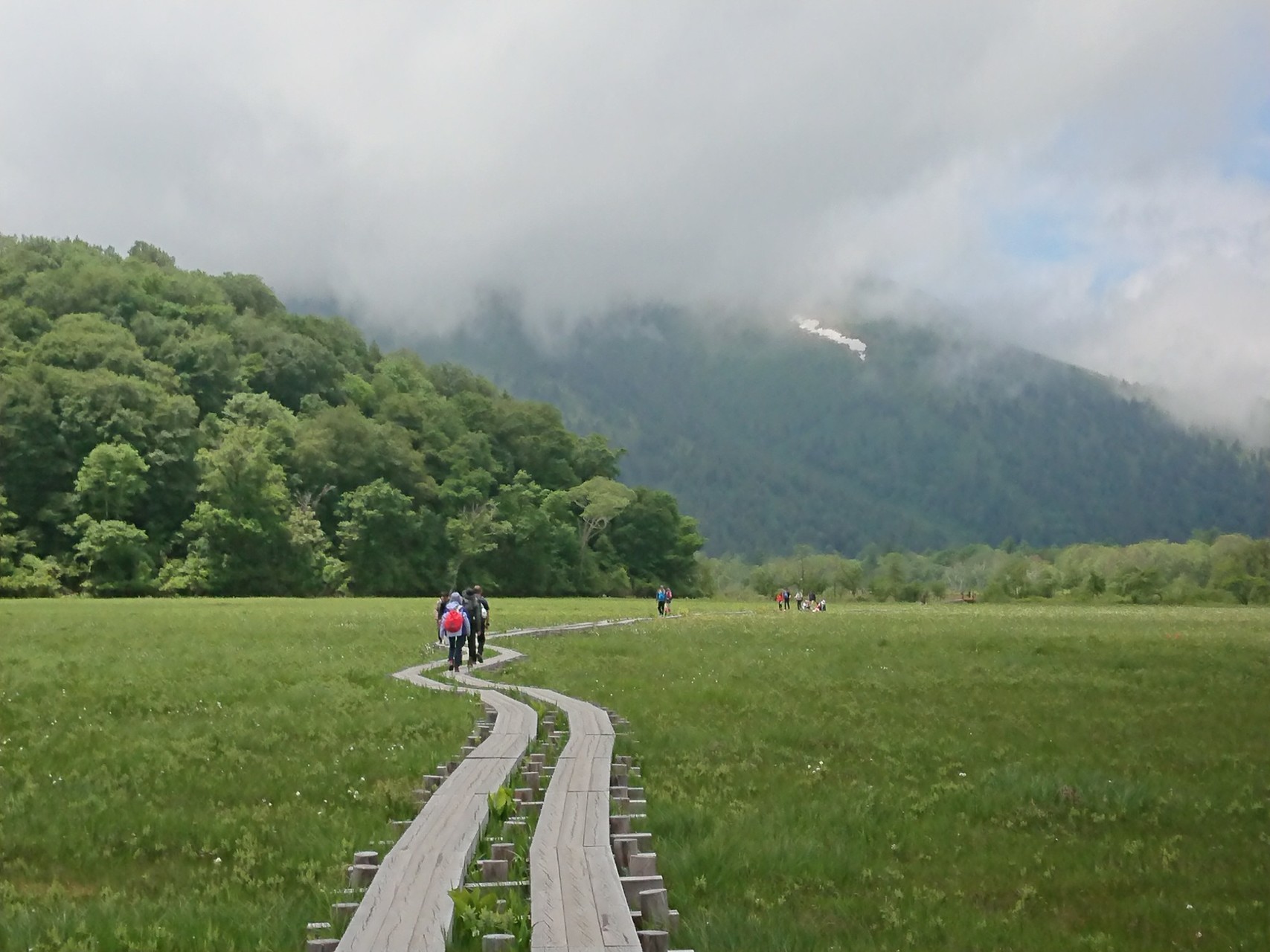 尾瀬ハイキング 水芭蕉はお化けと化していた くりぞ さんの至仏山 悪沢岳 笠ヶ岳の活動データ Yamap ヤマップ