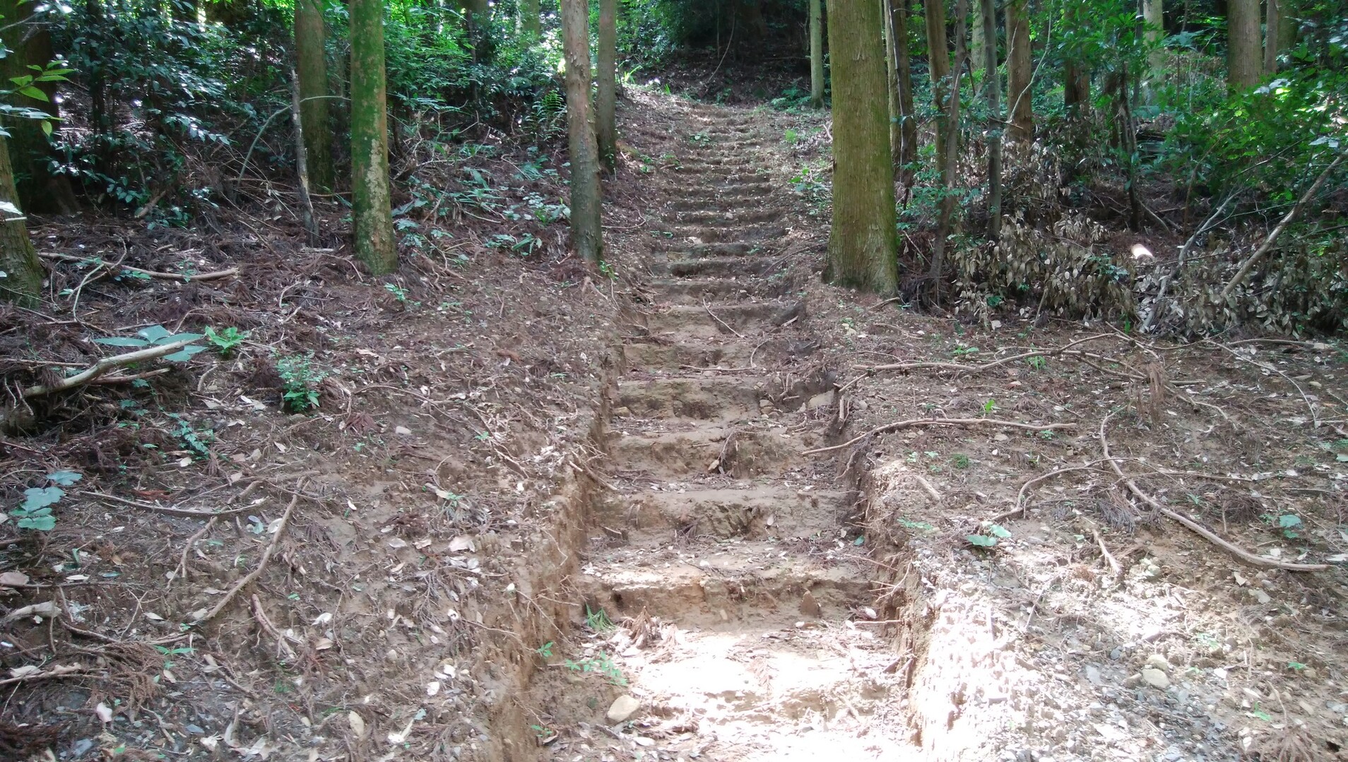 人も歩けば洞窟に当たる イチブンさんの弓張岳 将冠岳 但馬岳の活動日記 Yamap ヤマップ
