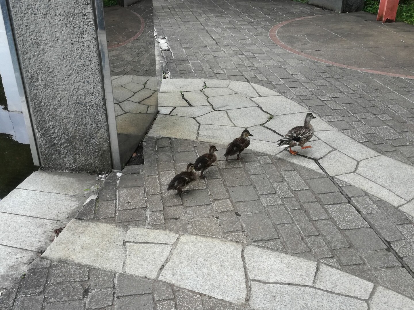 多摩センター 印鑑 最高のイラストと図面