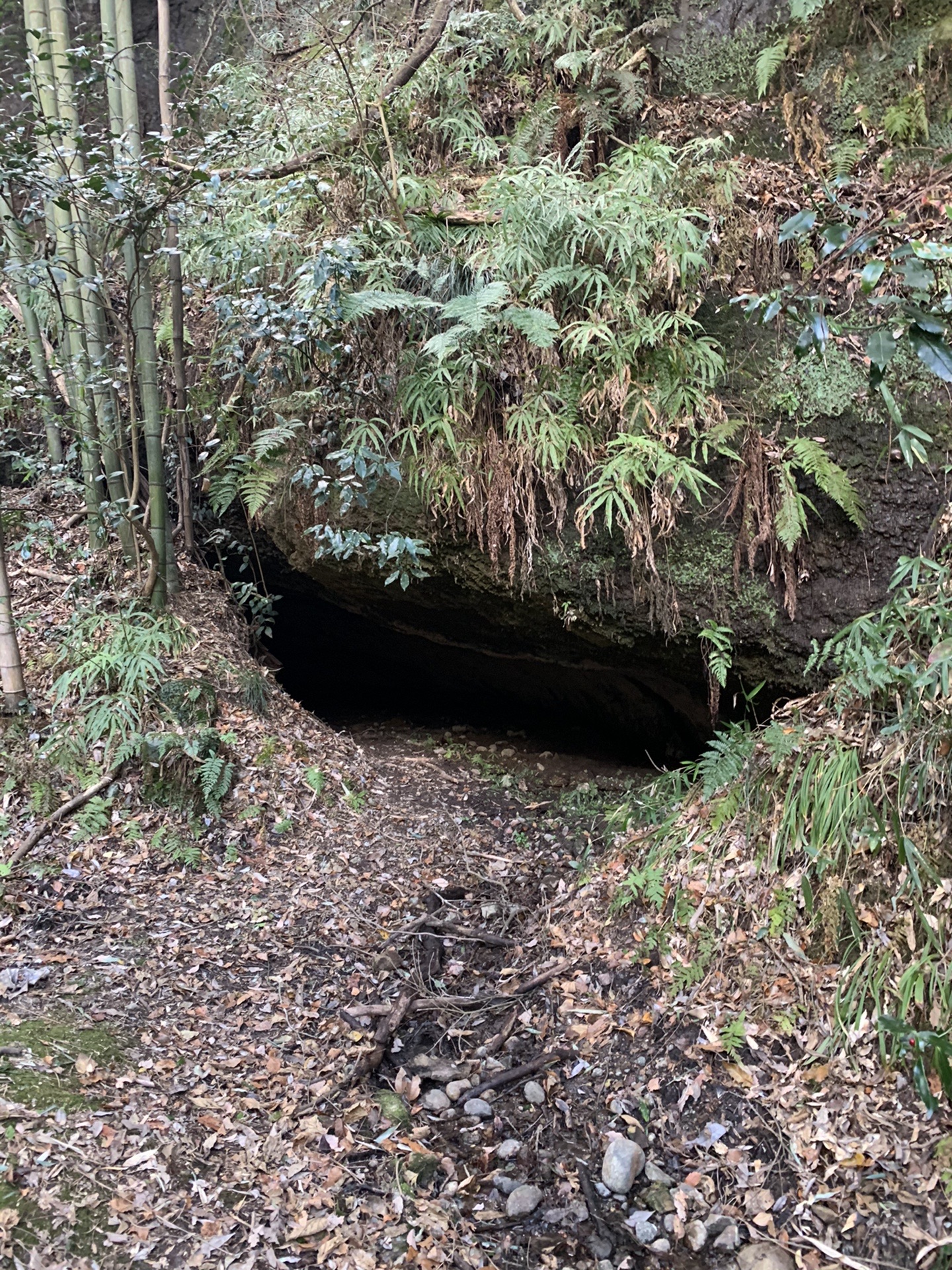 西神戸の異空間 仏谷洞窟 探索 いのちゃん さんの六甲山 長峰山 摩耶山の活動データ Yamap ヤマップ