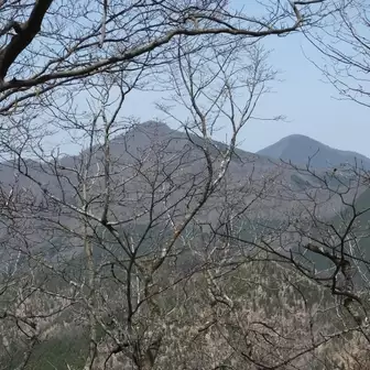 木々の間から見えたのは、手前は大持山、奥は武甲山ですね。
いよいよ奥武蔵側の私の軌跡が見えてきました。