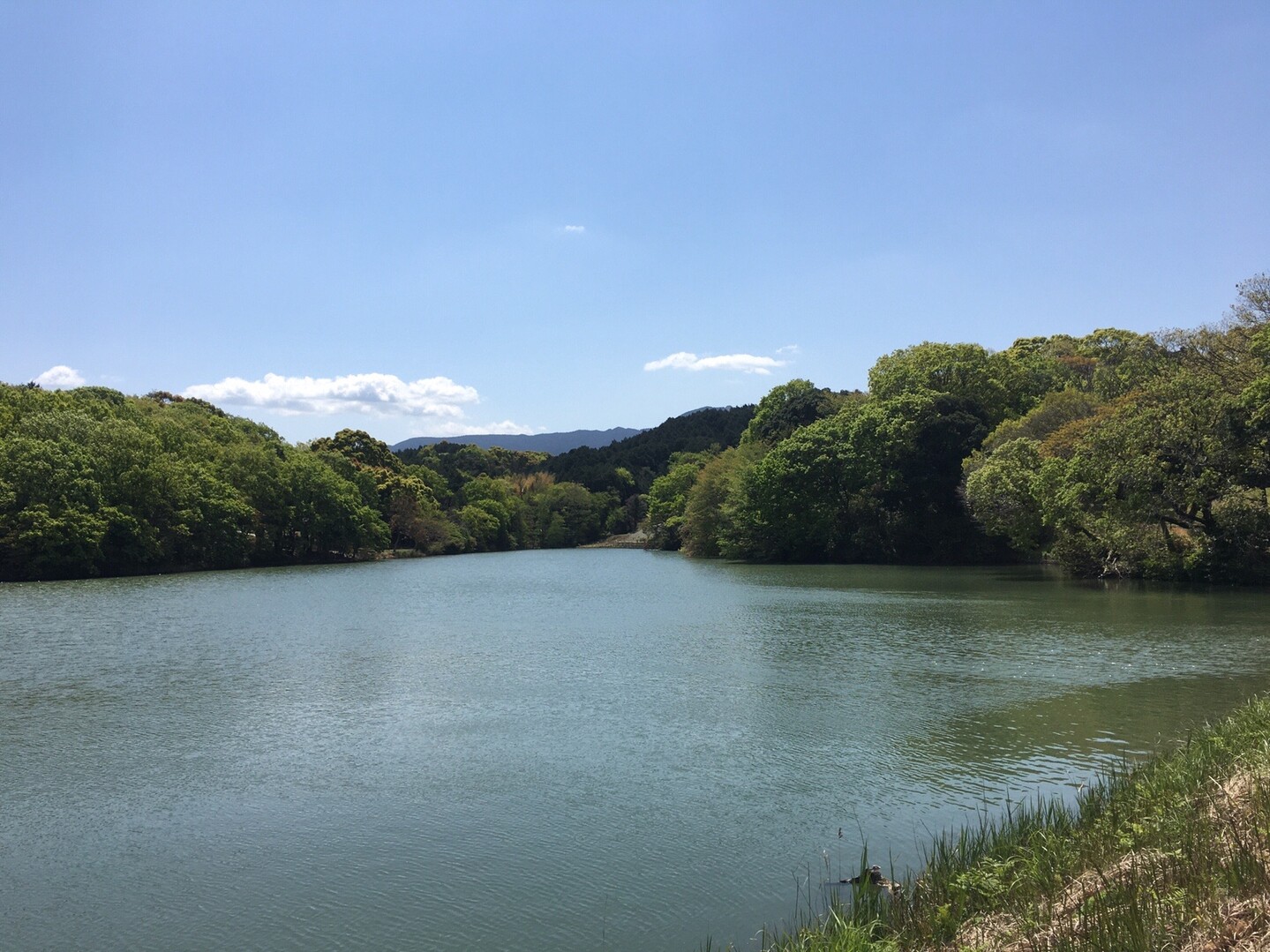 高橋三段池物語 コックンさんの篠栗町の活動日記 Yamap ヤマップ