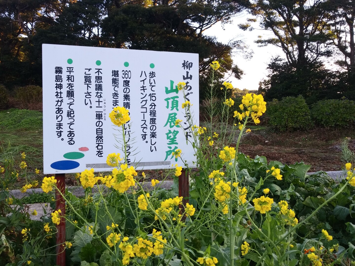 柳山 川内川あらし 求めて かみなりさんの薩摩川内市の活動日記 Yamap ヤマップ