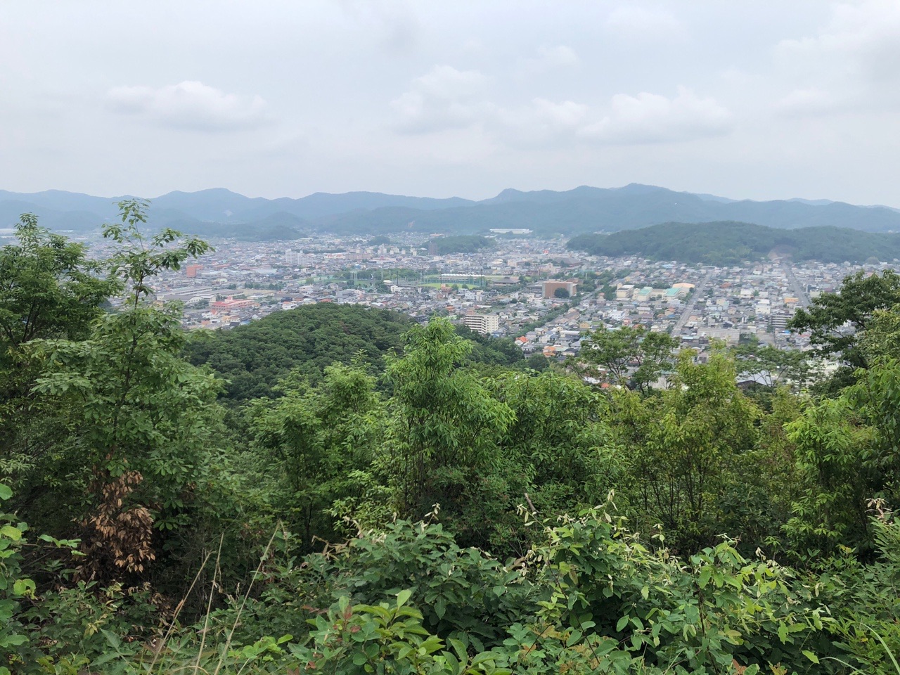 両崖山・仙人ヶ岳・石尊山 足利の街