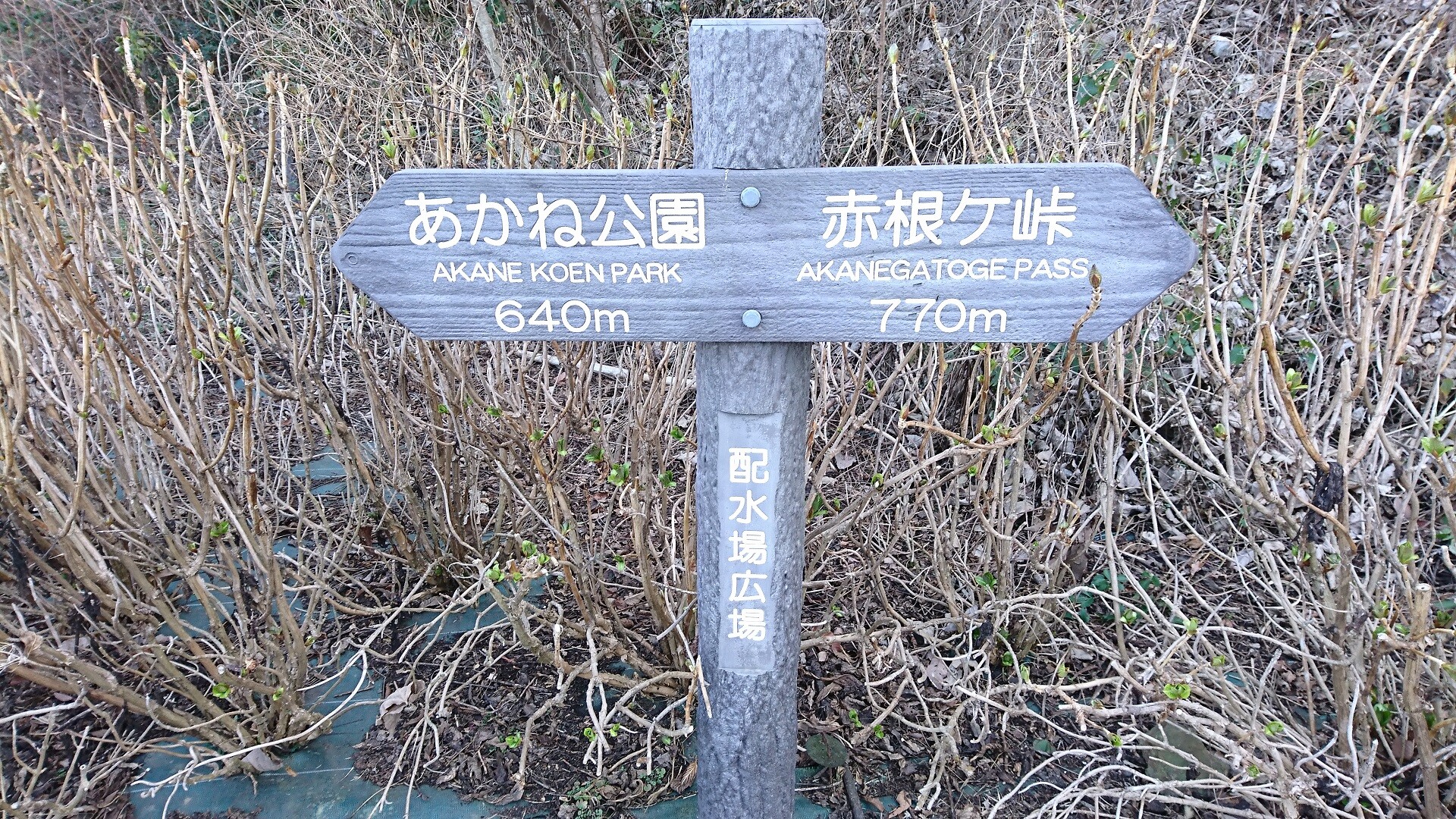 午後の散歩は柏木山 飯能 へ 天覧山 多峯主山 天覚山の写真48枚目 配水場広場につきました 遊歩道はあかね公 Yamap ヤマップ