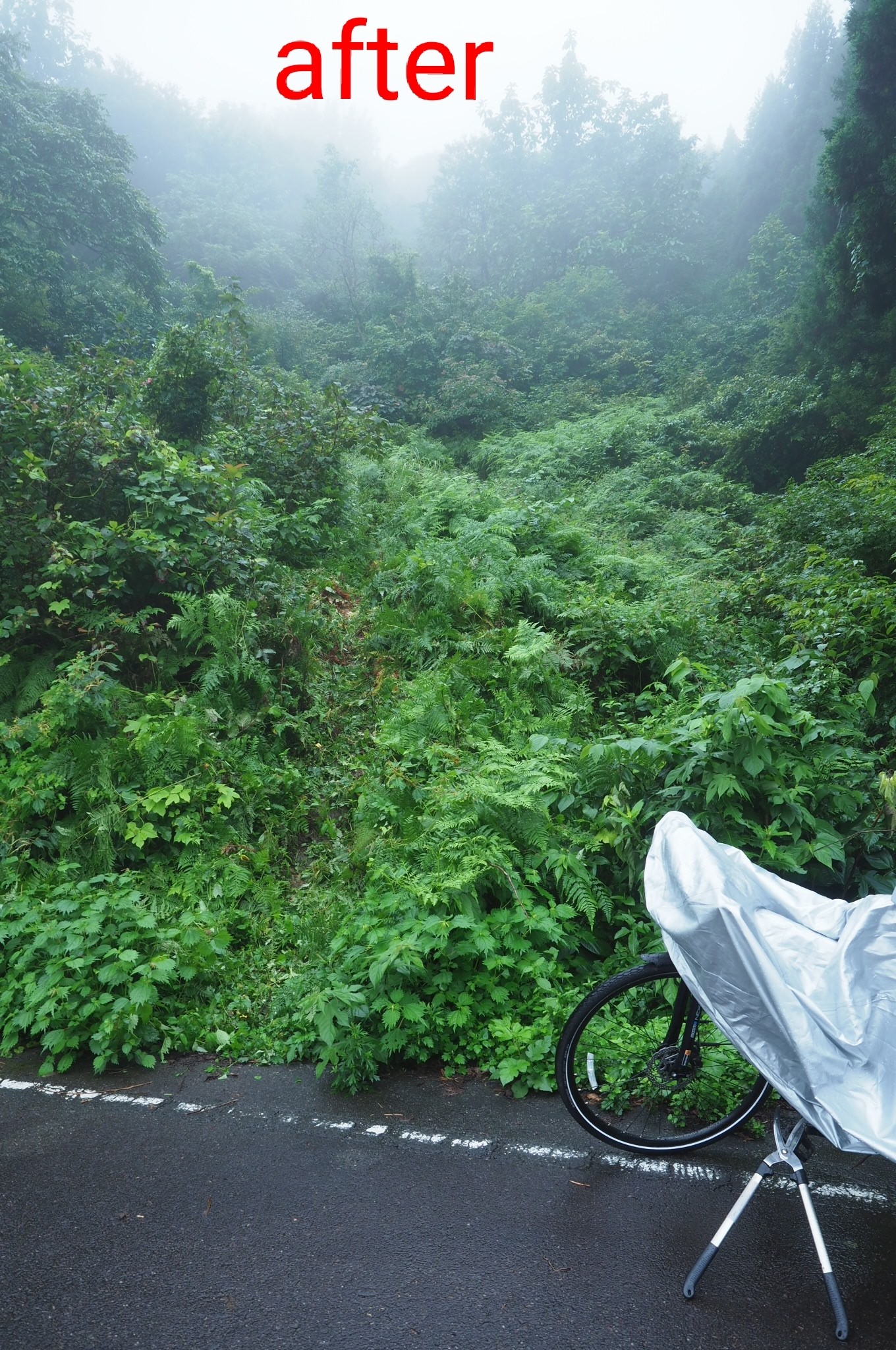 木六山・銀次郎山 悪場峠
