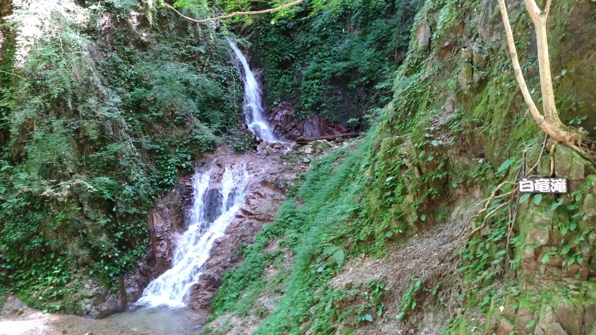 白竜滝の滝壺にダイブしてしまったけど 涼しくて静かな白石谷 もっけんさんの六甲山 長峰山 摩耶山の活動データ Yamap ヤマップ