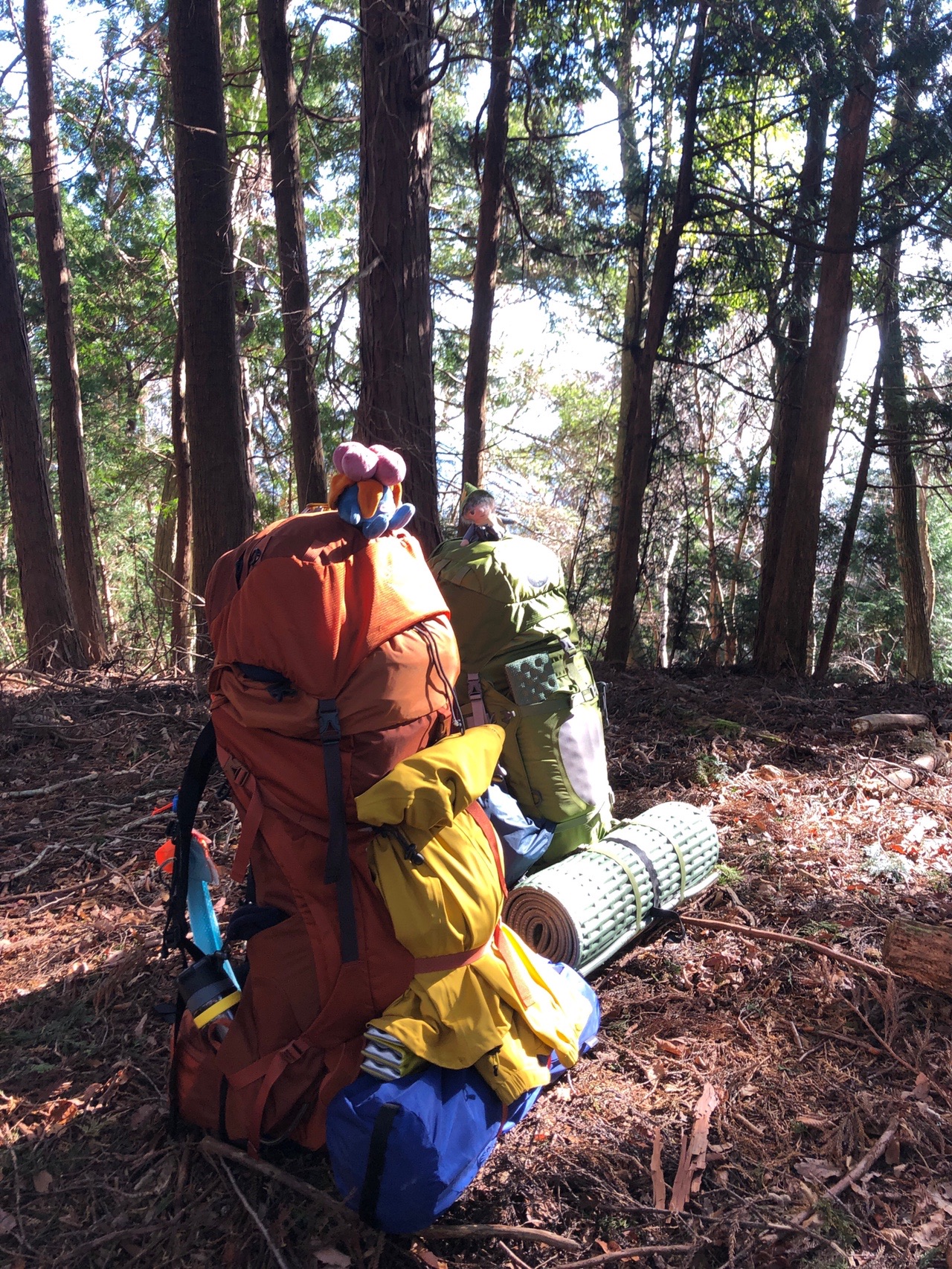 2020 くじゅう大船山の紅葉 釣り キャンプ 時々登山