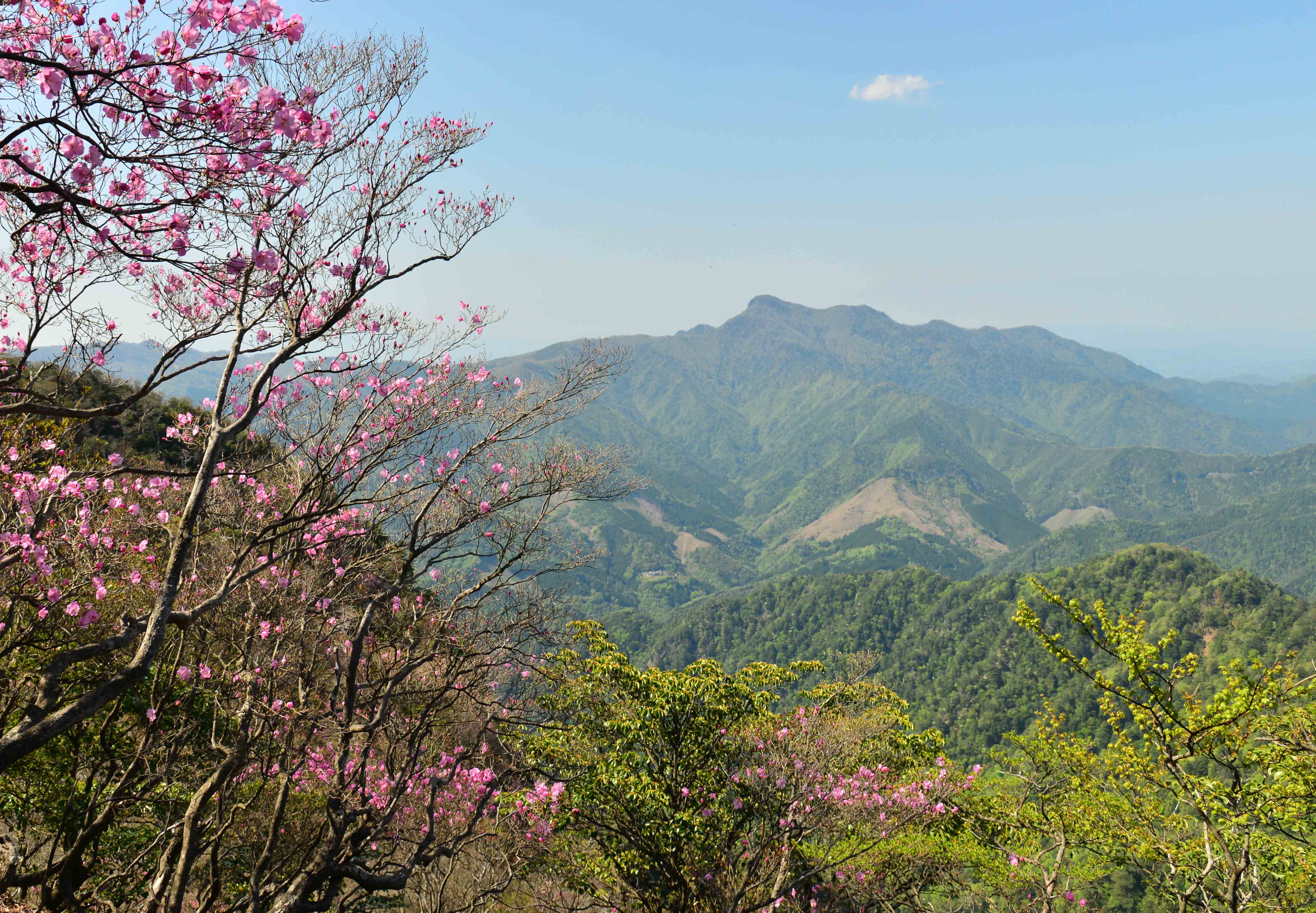 祖母山 大分 の登山 山頂 天気 人気のルート 最新の記録 Yamap ヤマップ
