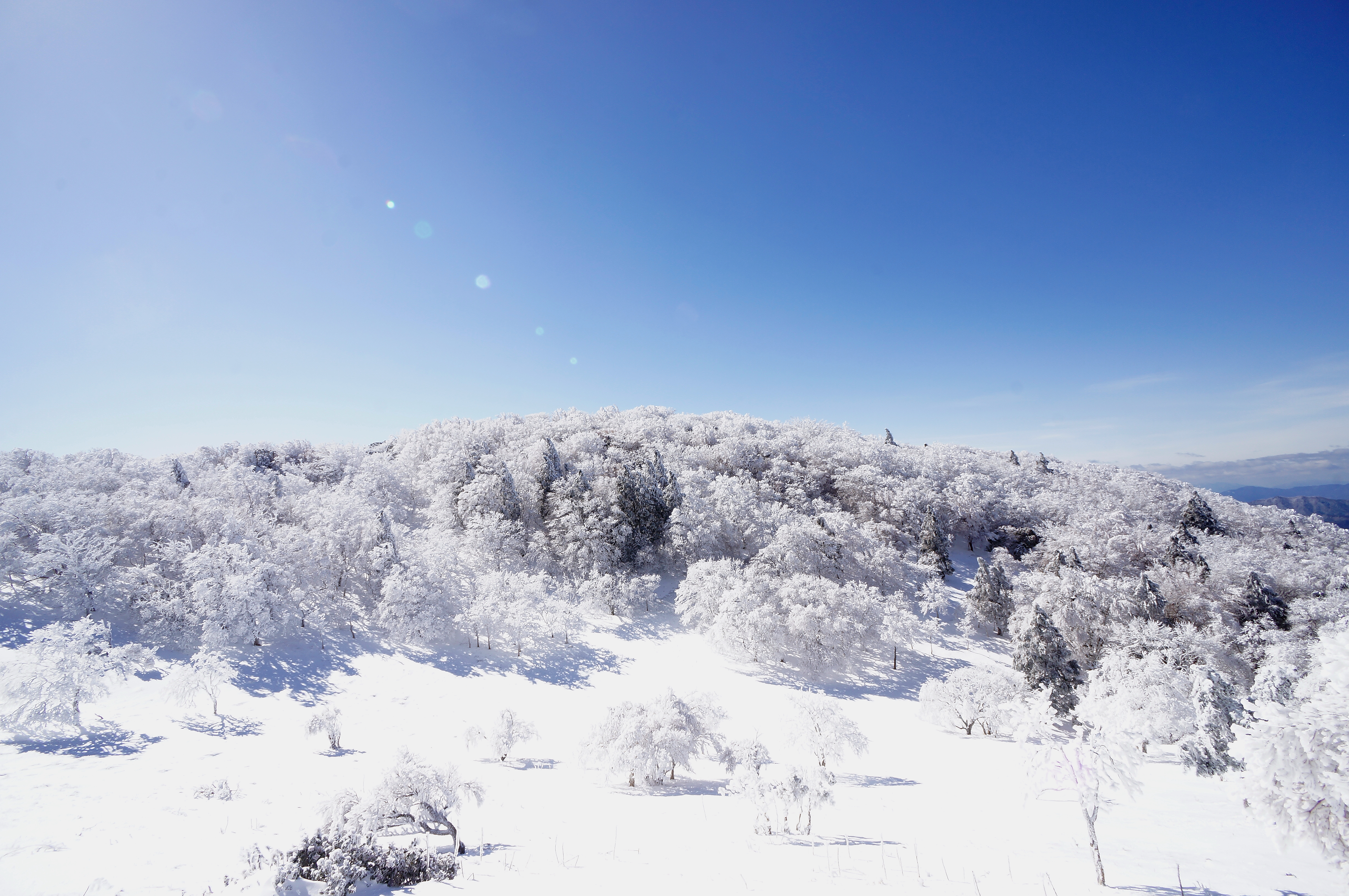 三峰山の最新登山情報 人気の登山ルート 写真 天気など Yamap ヤマップ