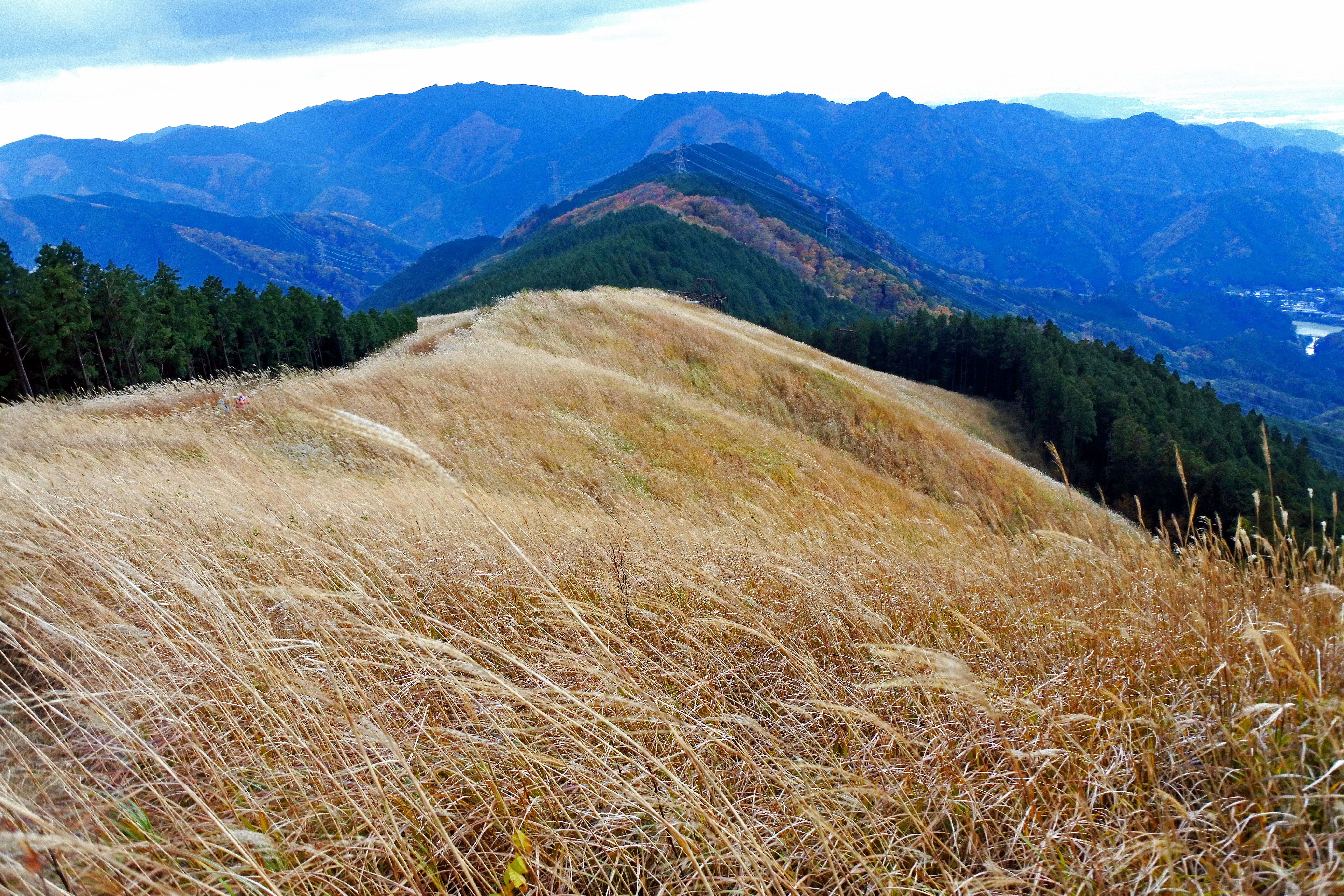 和泉山脈の山一覧 Yamap ヤマップ