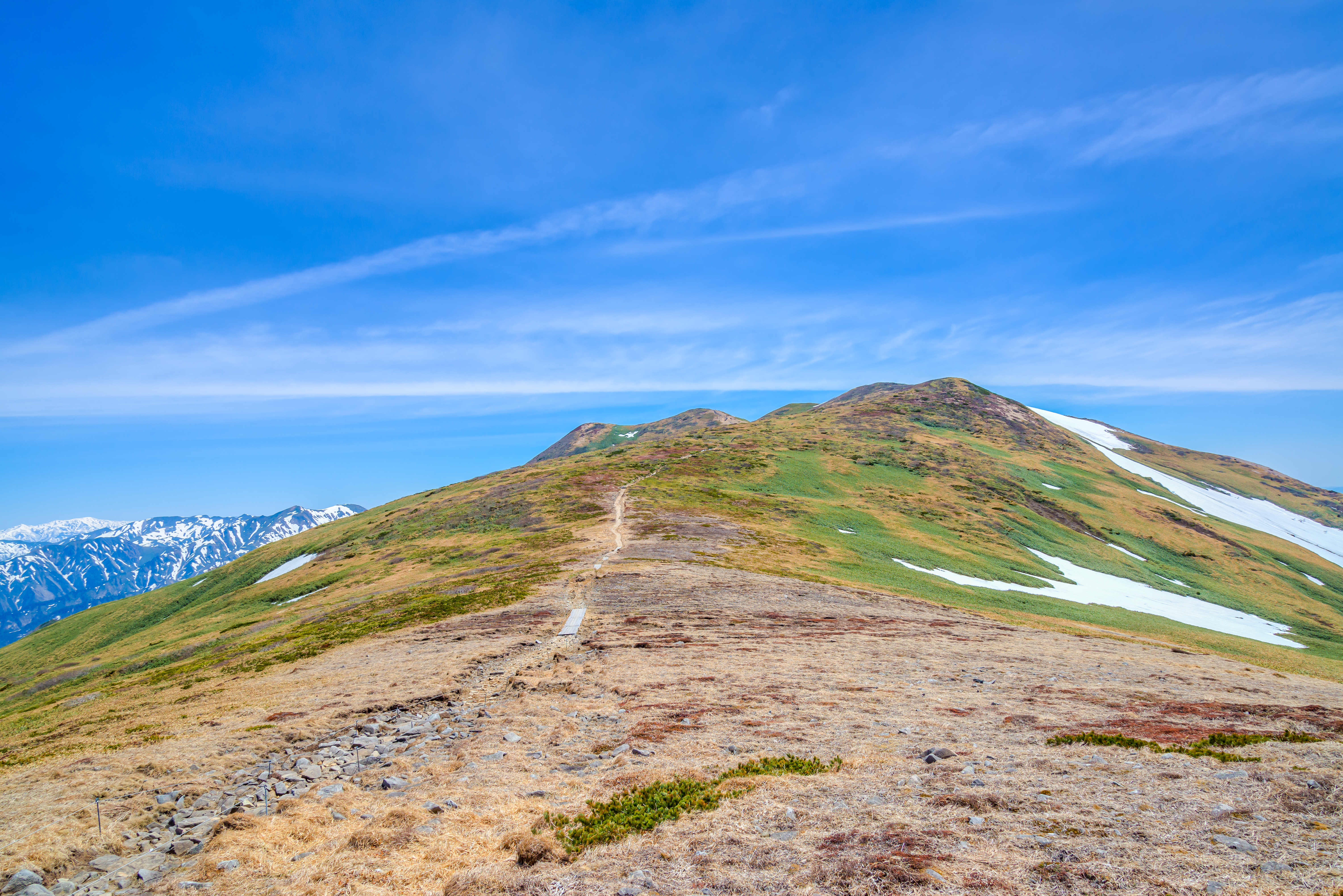 仙ノ倉山の最新登山情報 / 人気の登山ルート、写真、天気など | YAMAP / ヤマップ