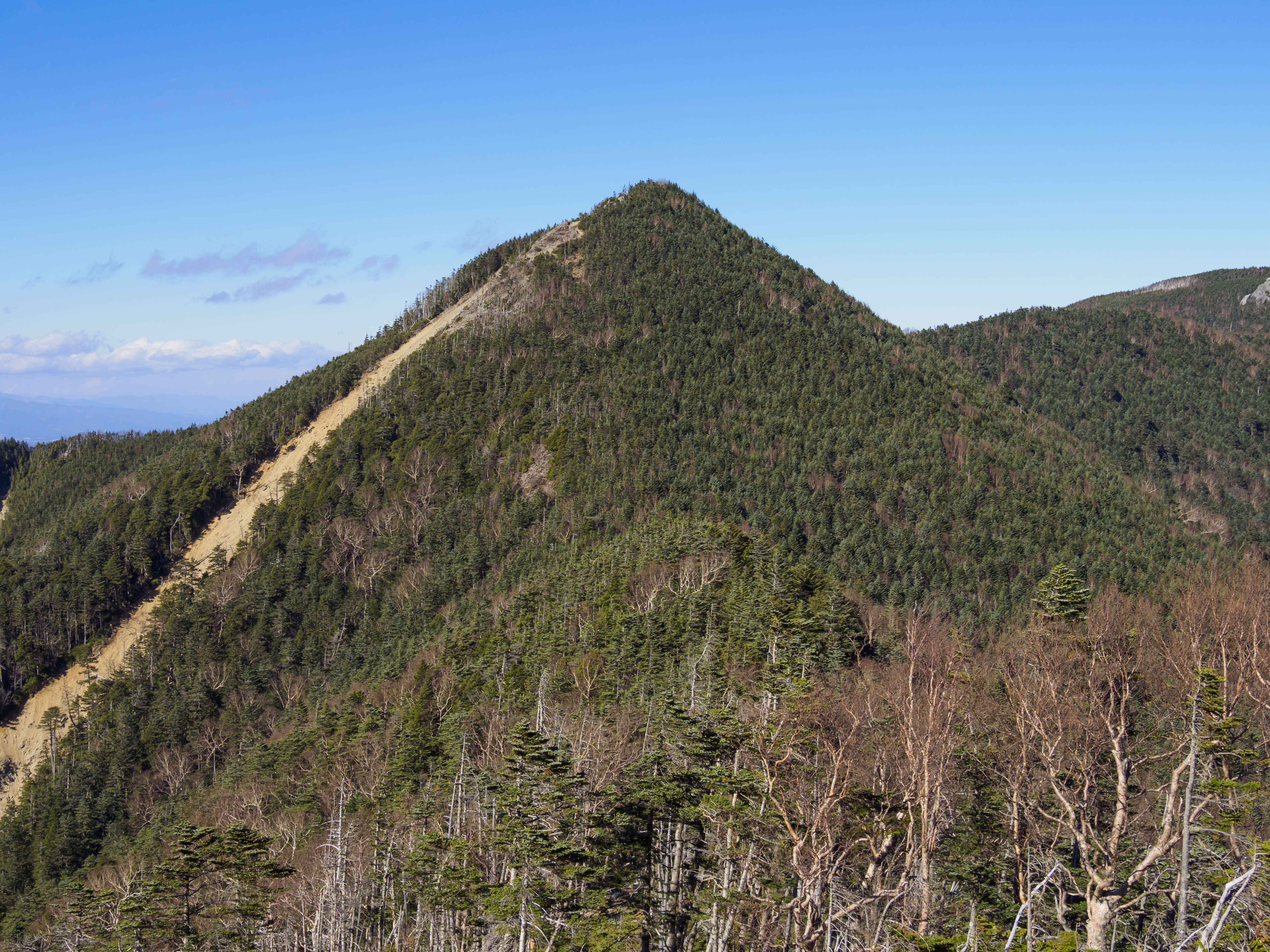 甲武信ヶ岳 埼玉 の山総合情報ページ 登山ルート 写真 天気情報など Yamap ヤマップ