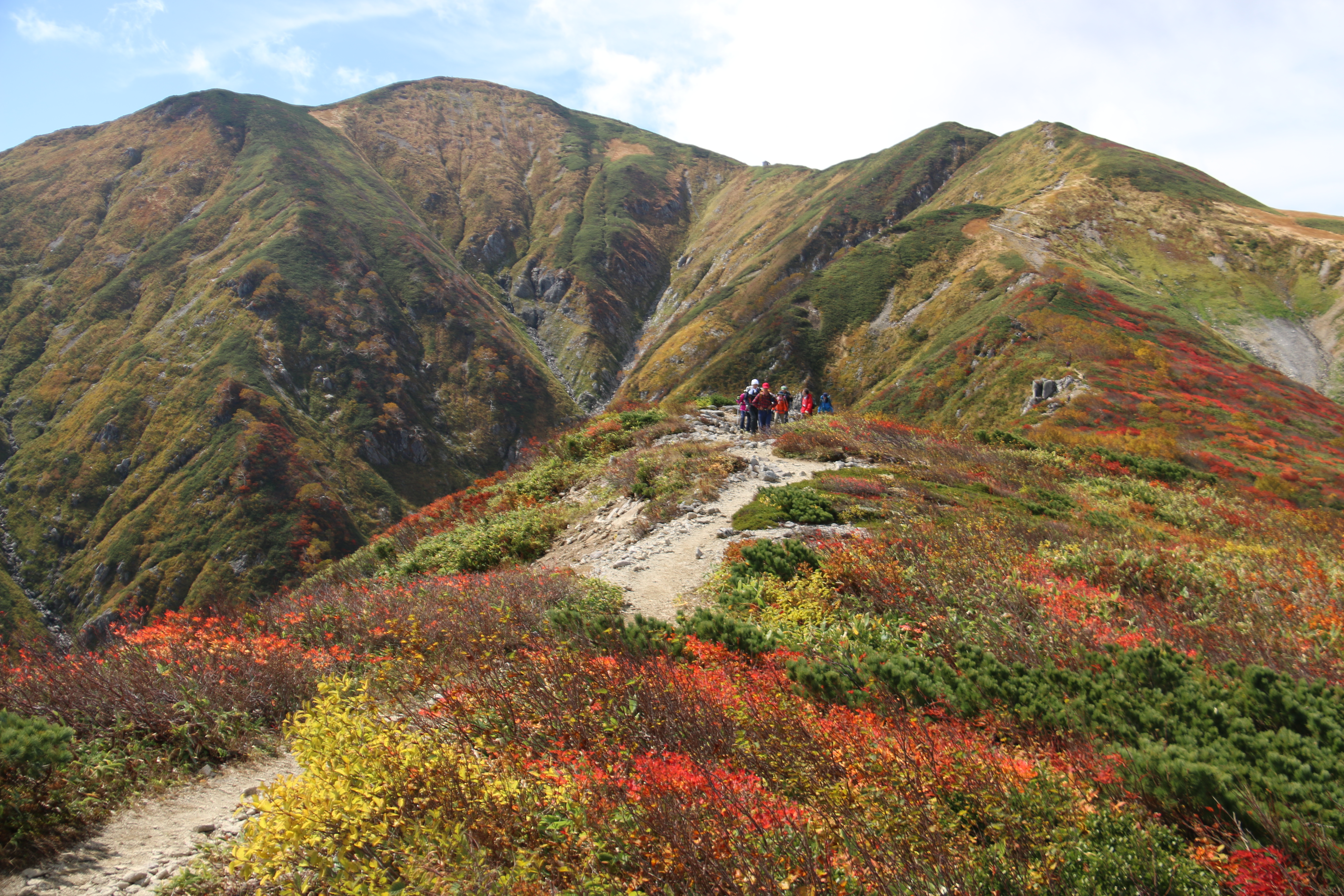 朝日連峰水源の沢