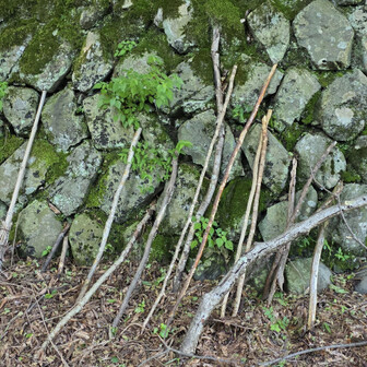山に余計なものを残すのはやめておこう
テープ類は剥がしておく
次は誰の相棒として活躍するのだろう…

おつかれ🌋