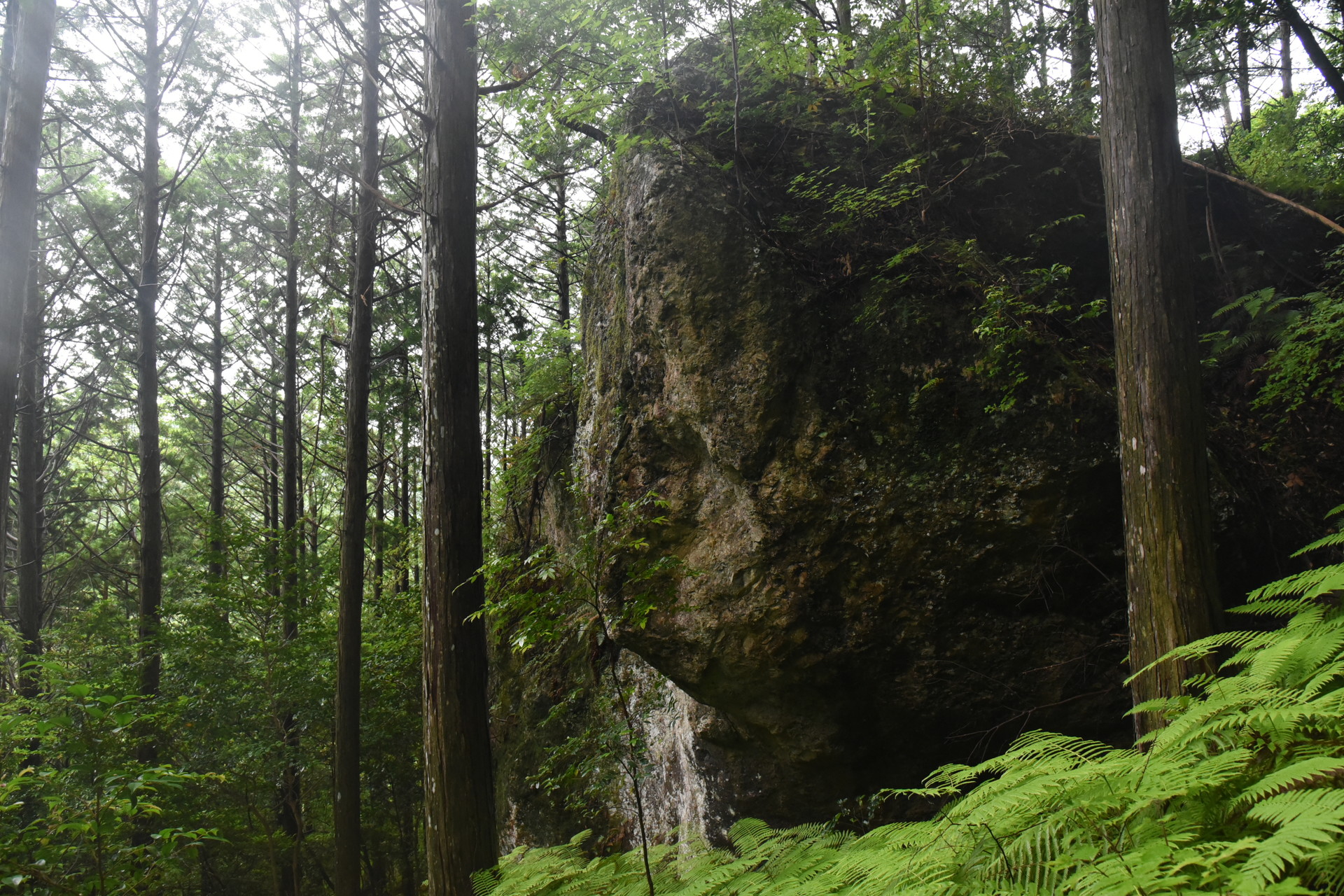 明神山（三ツ瀬明神山） 道中は、このような岩がたくさんあります。