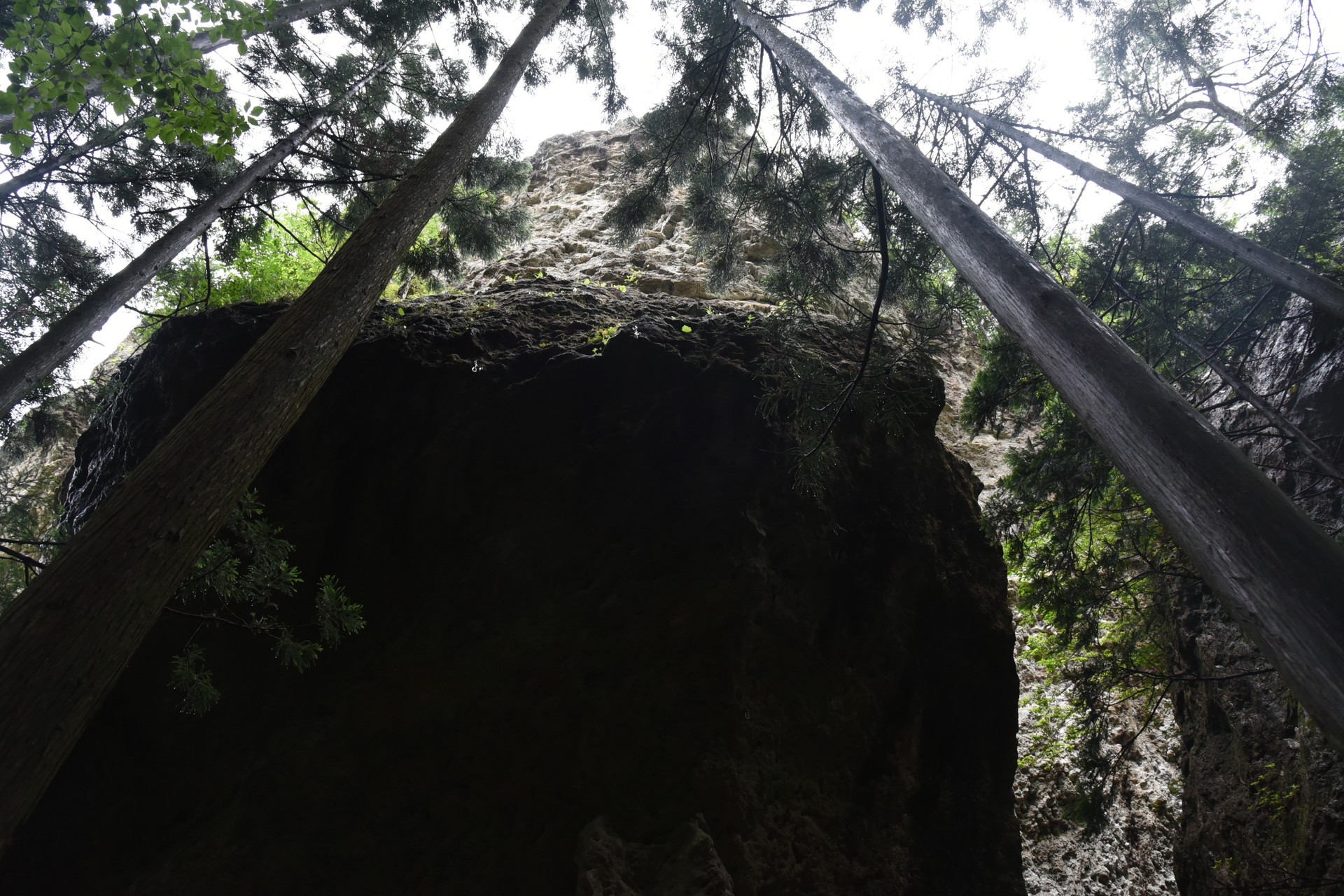 明神山（三ツ瀬明神山） 鬼岩。ファインダーに収まりきらないものはなかなかないが...