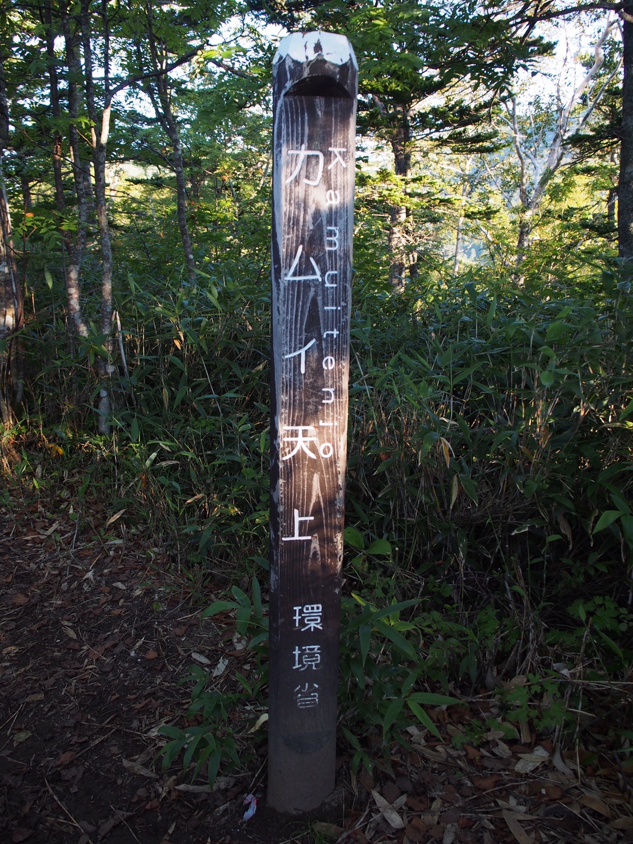 トムラウシ山 神宿るアイヌの山へ Mistymountainhopさんの大雪山系 旭岳 トムラウシの活動日記 Yamap ヤマップ