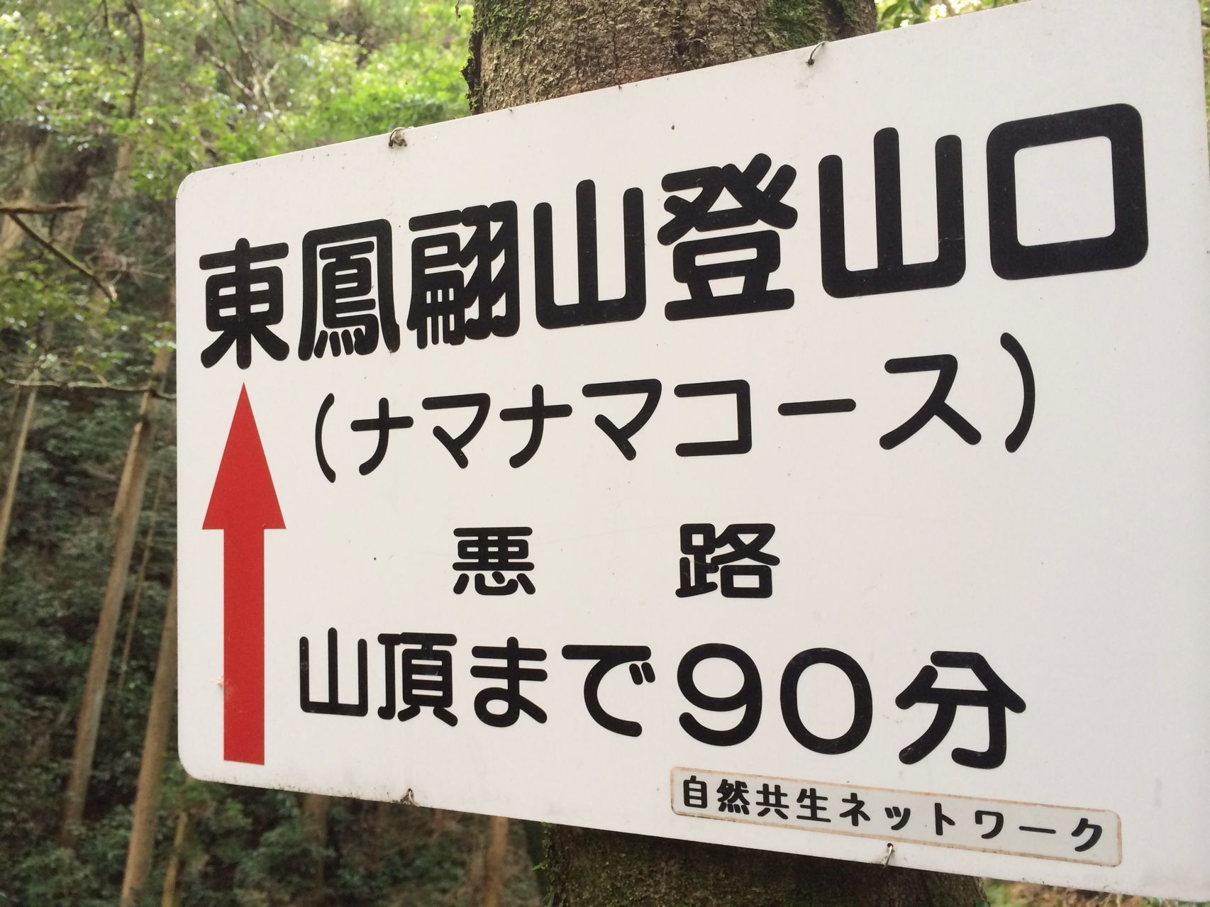 山口にある 新 日本百名山 はるさんの東鳳翩山 西鳳翩山 鴻ノ峰の活動データ Yamap ヤマップ