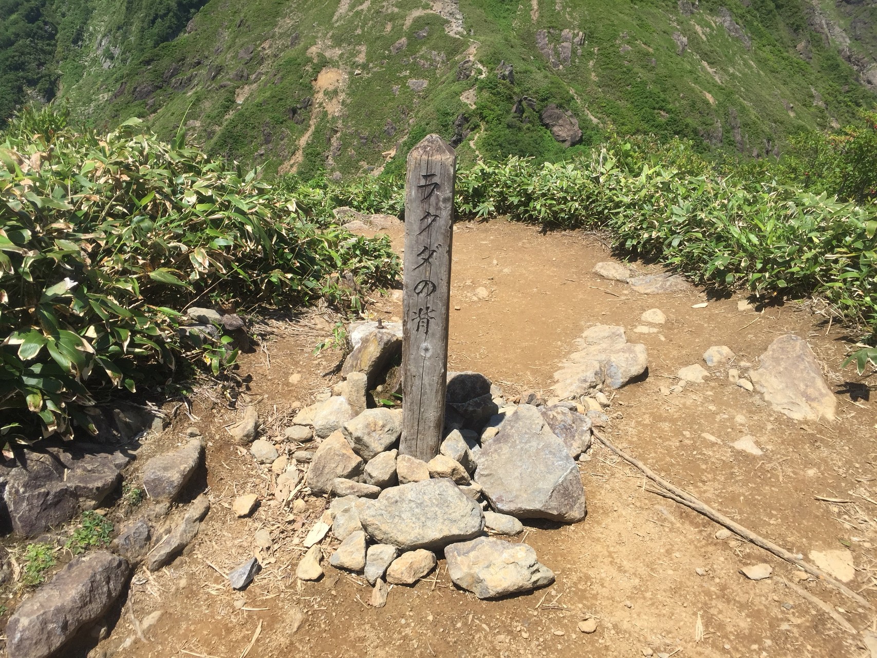 谷川岳 西黒尾根登山口 ラクダの背 氷河跡 トマの耳 オキの耳 トマの耳 天神平 日帰り 空さんの谷川岳 七ツ小屋山 大源太山の活動日記 Yamap ヤマップ