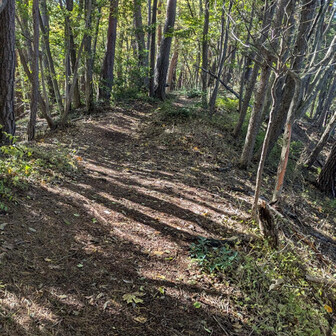 猿🐵がいただよ、まいった