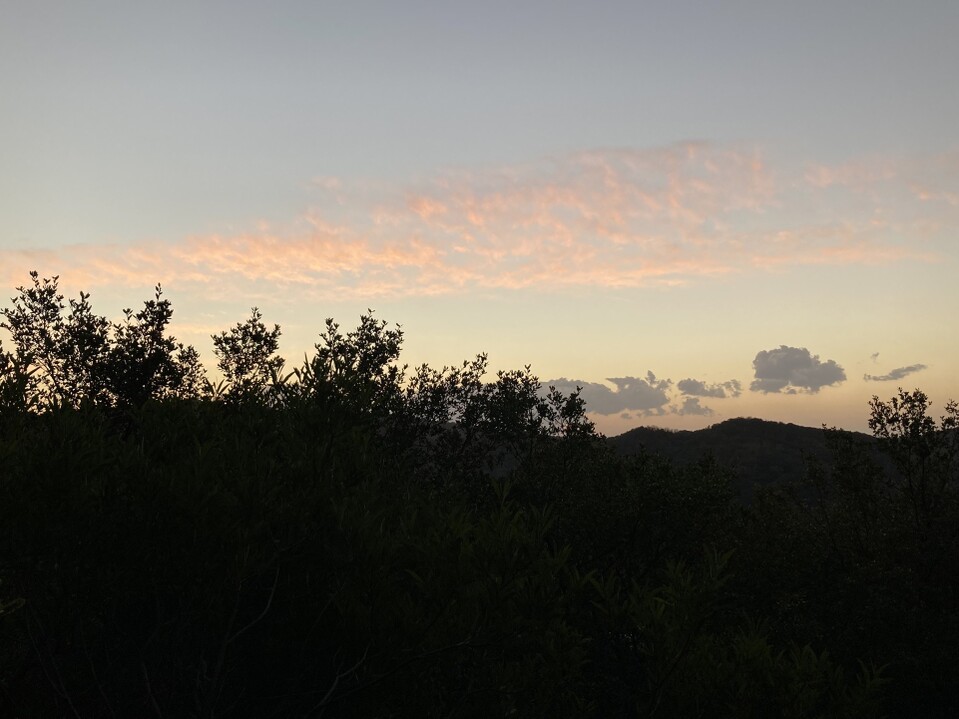 城山（香川県小豆郡小豆島町）の最新登山情報 / 人気の登山ルート、写真、天気など YAMAP / ヤマップ