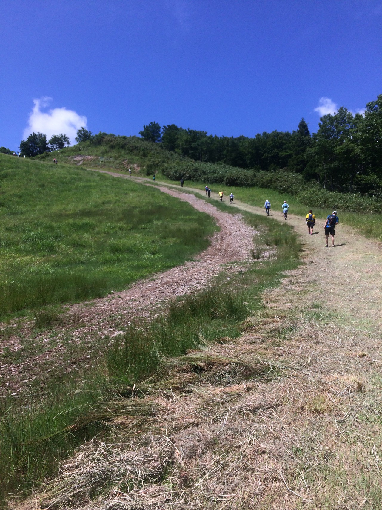 半端ネェより どえりゃー 姫ボタル瀞川平トレイルラン かよママさんの氷ノ山 須賀ノ山 鉢伏山 瀞川山の活動データ Yamap ヤマップ