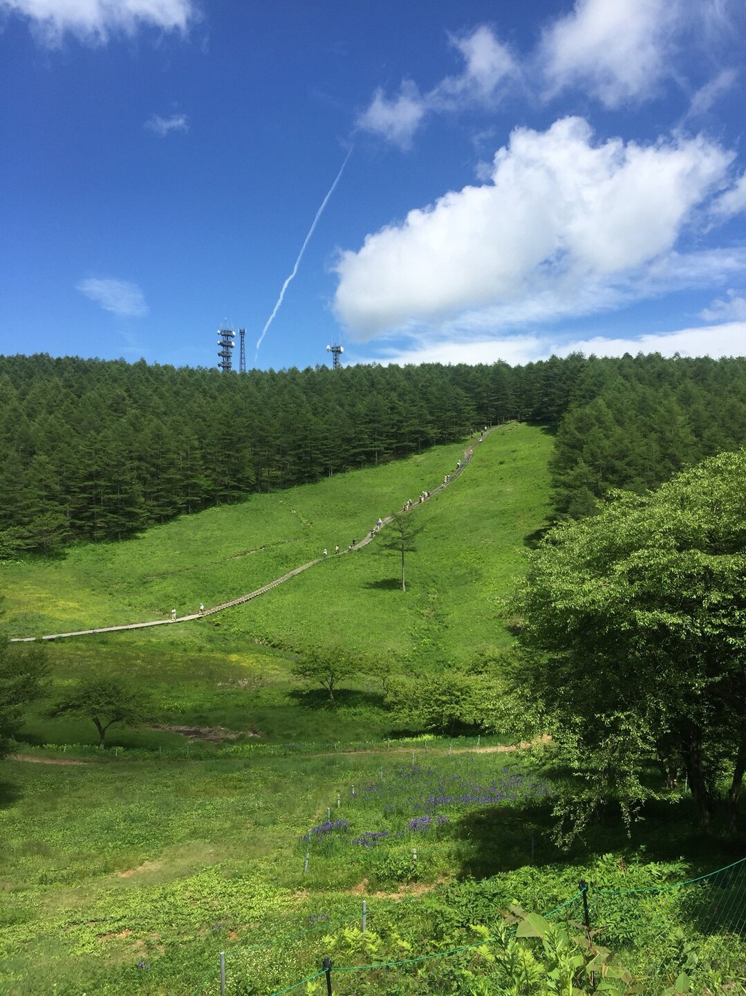 沢入登山口駐車場 入笠山 噂のアレを求めて Naniさんの入笠山の活動データ Yamap ヤマップ